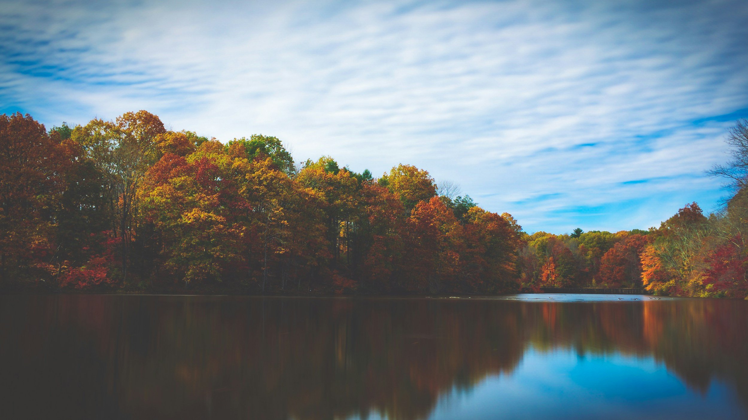 A lake with the multi-colored fall leaves in the background.
