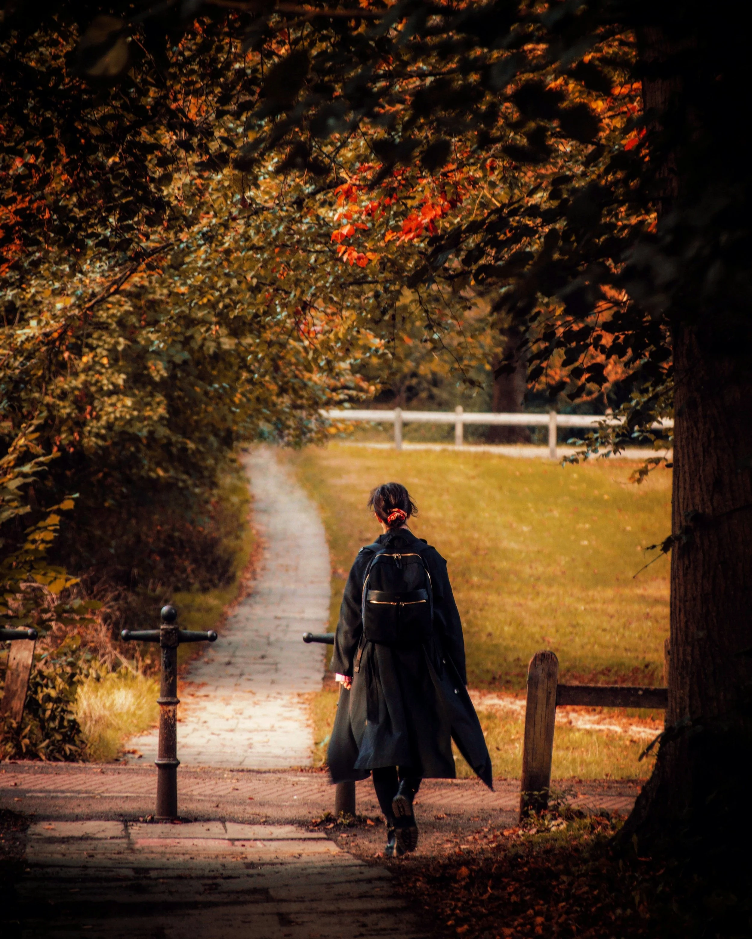 Person walking alone along a tree-lined path surrounded by colorful autumn foliage.