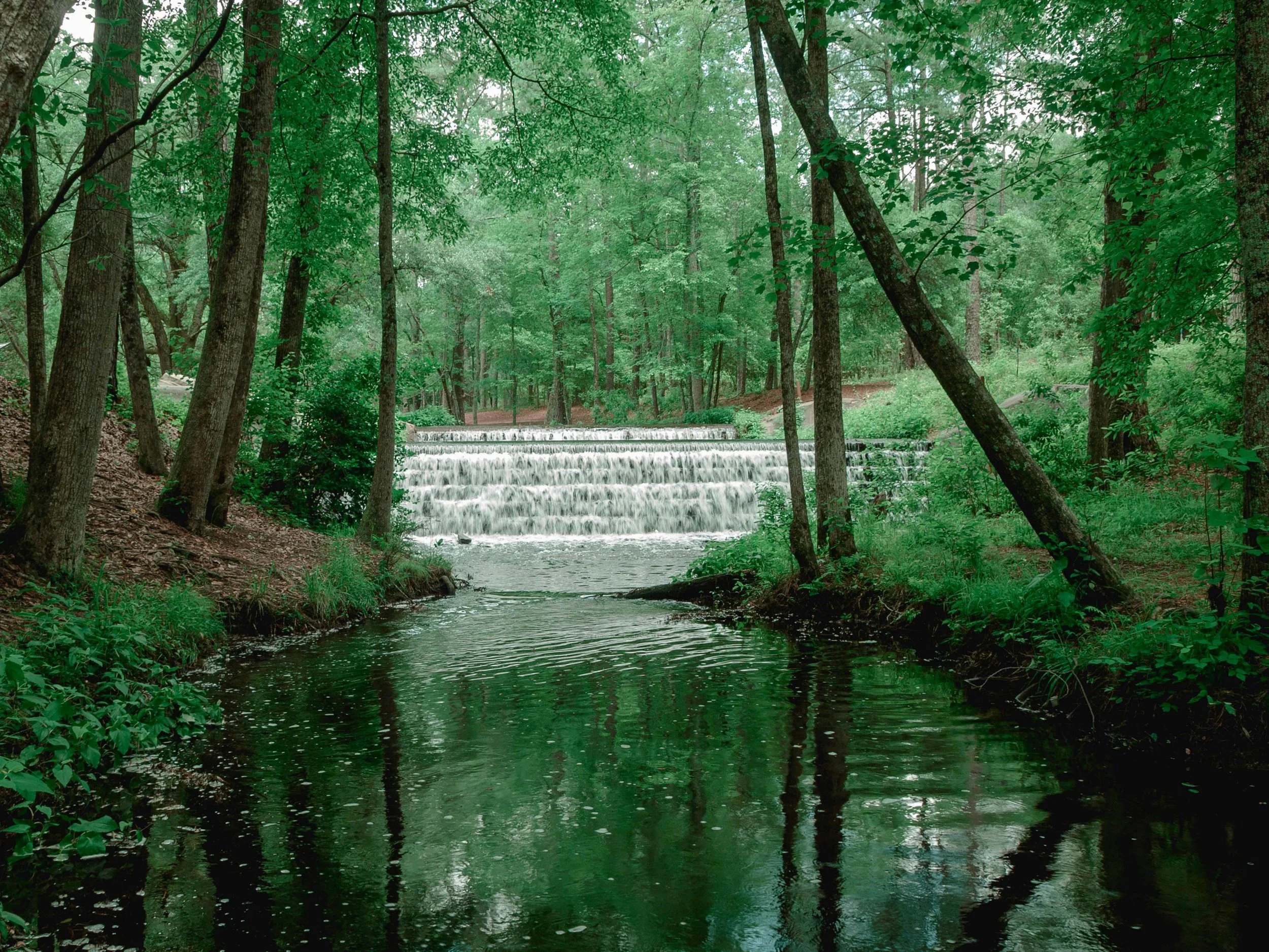 Self Care in Columbia SC: 10 Best Places to Rest, Reflect, and Reconnect