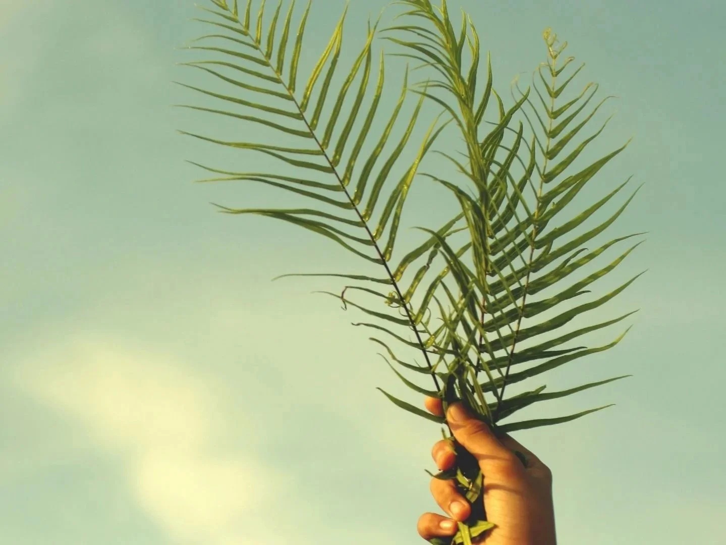 Psalm Sunday Faith in Action