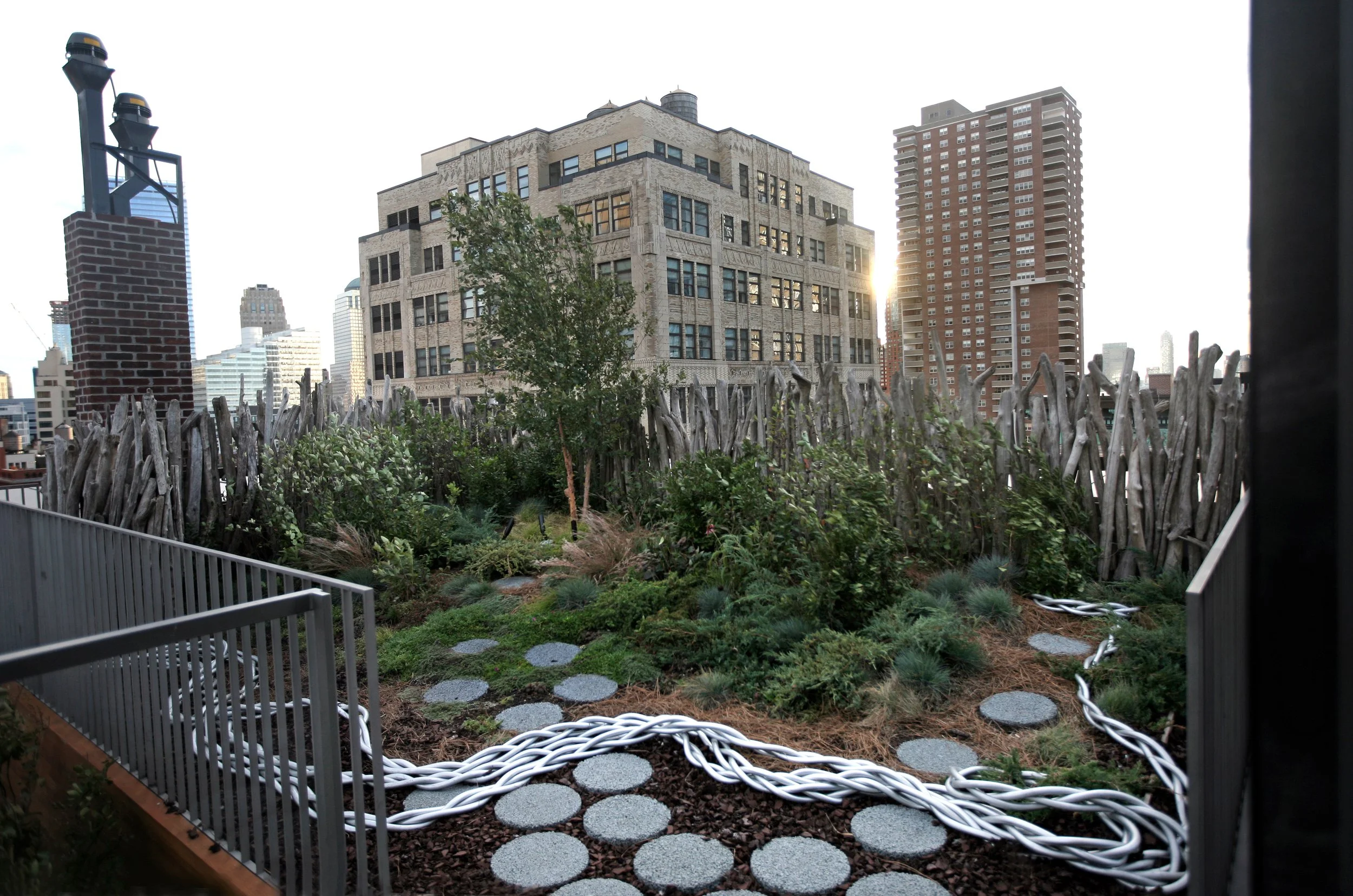 Tribeca Paula Hayes photo credit Beatrice DeGea PAULALOVE010.JPG