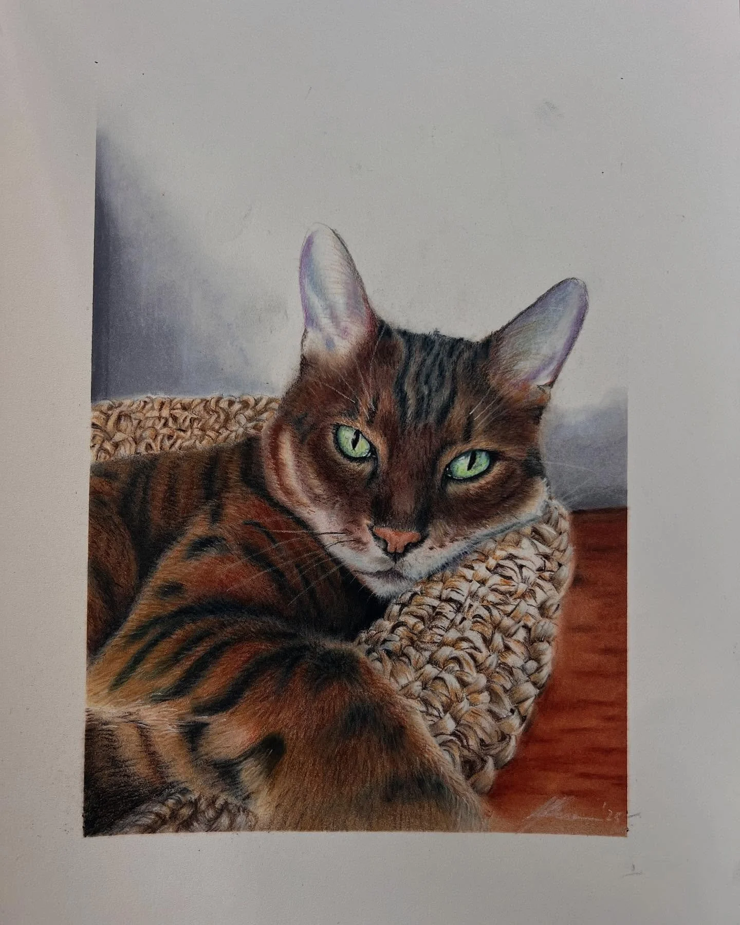 A laid back Bengal Cat, aka Arthur. Thanks @andrew.j.melville for commissioning this picture. It was an interesting exercise to draw the basket. #petportrait #cats_of_instagram #bengalcatworld #bengalcatsofinstagram #bengalcats