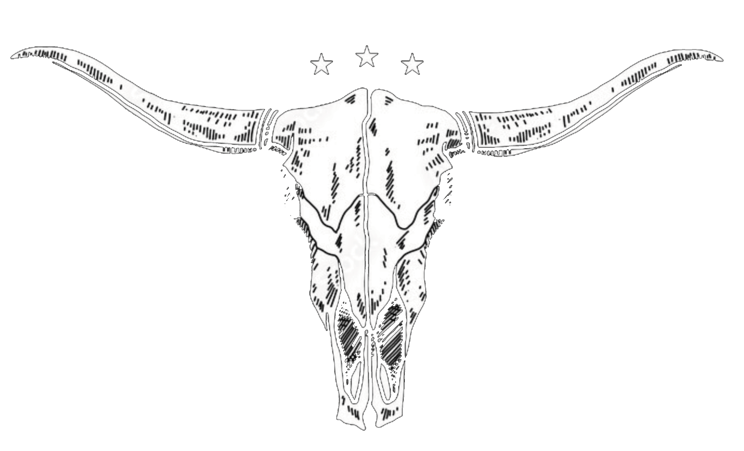 Avery Case And Saddle