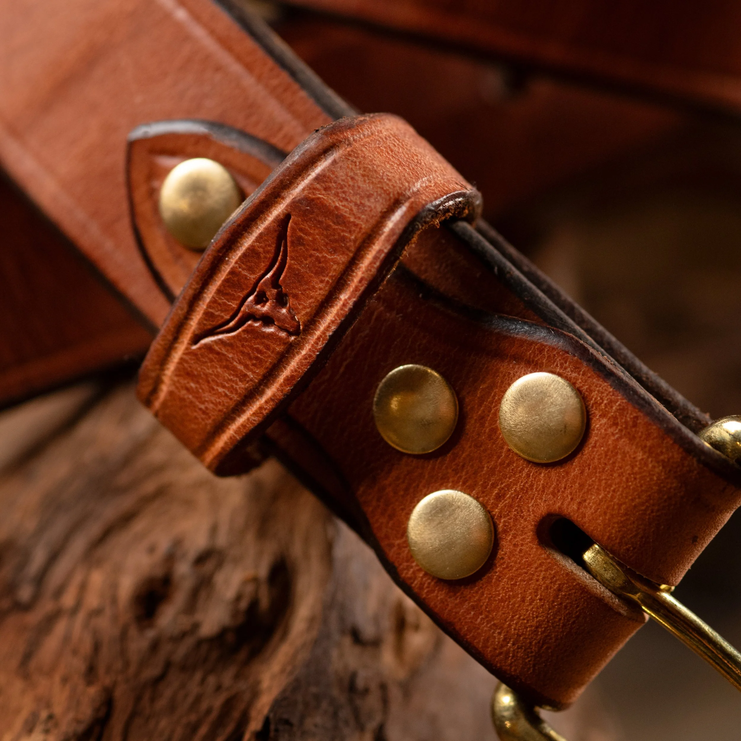 Close-up of a brown leather dog collar with gold rivets and an embossed logo or signature.