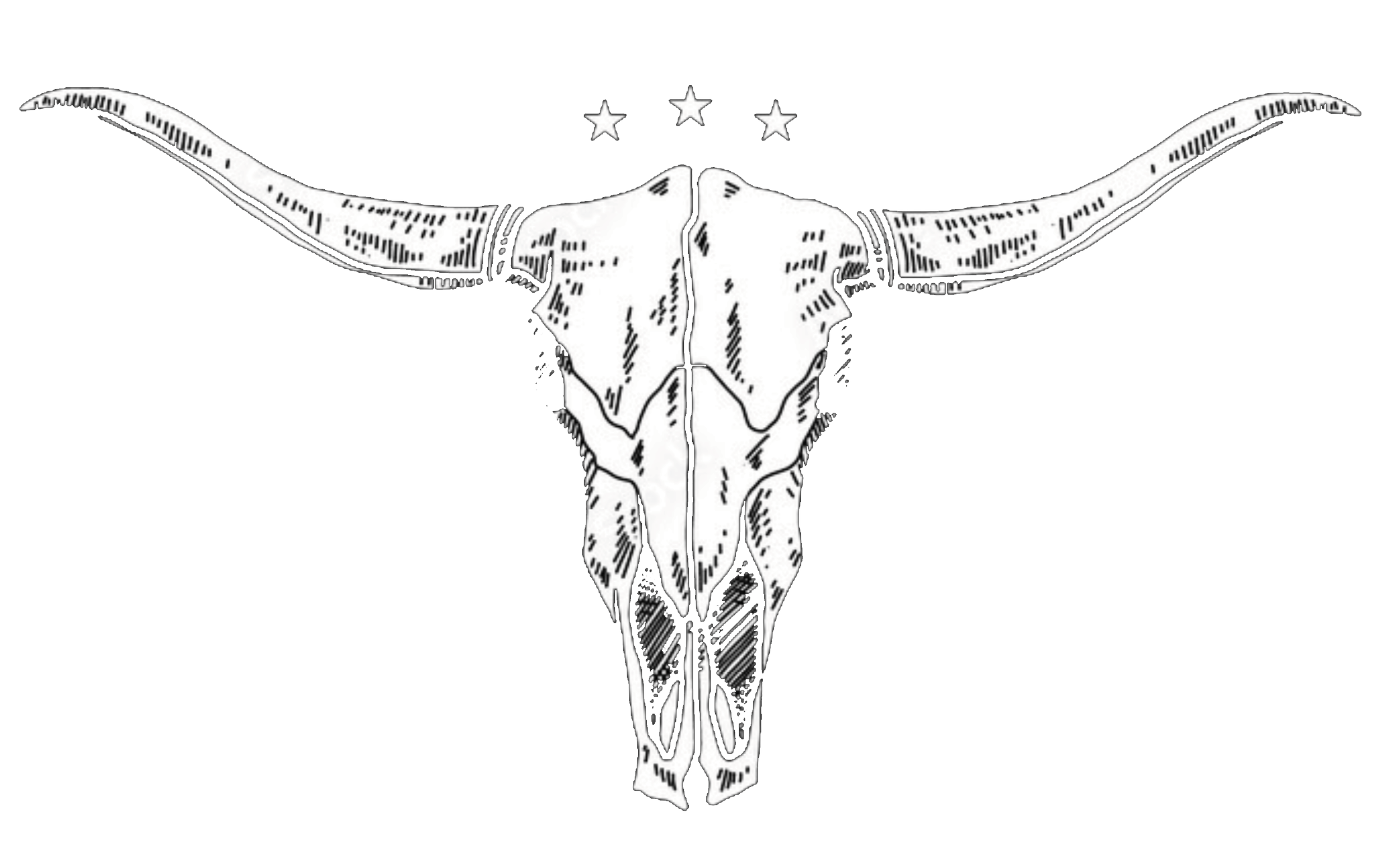 Avery Case And Saddle - Skull Logo