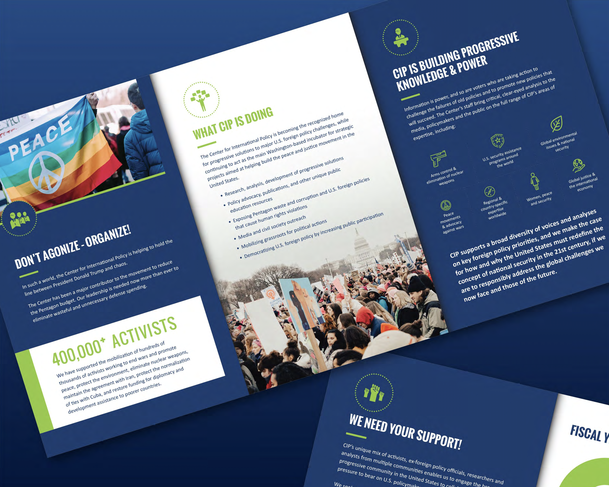 CIP Trifold Brochure