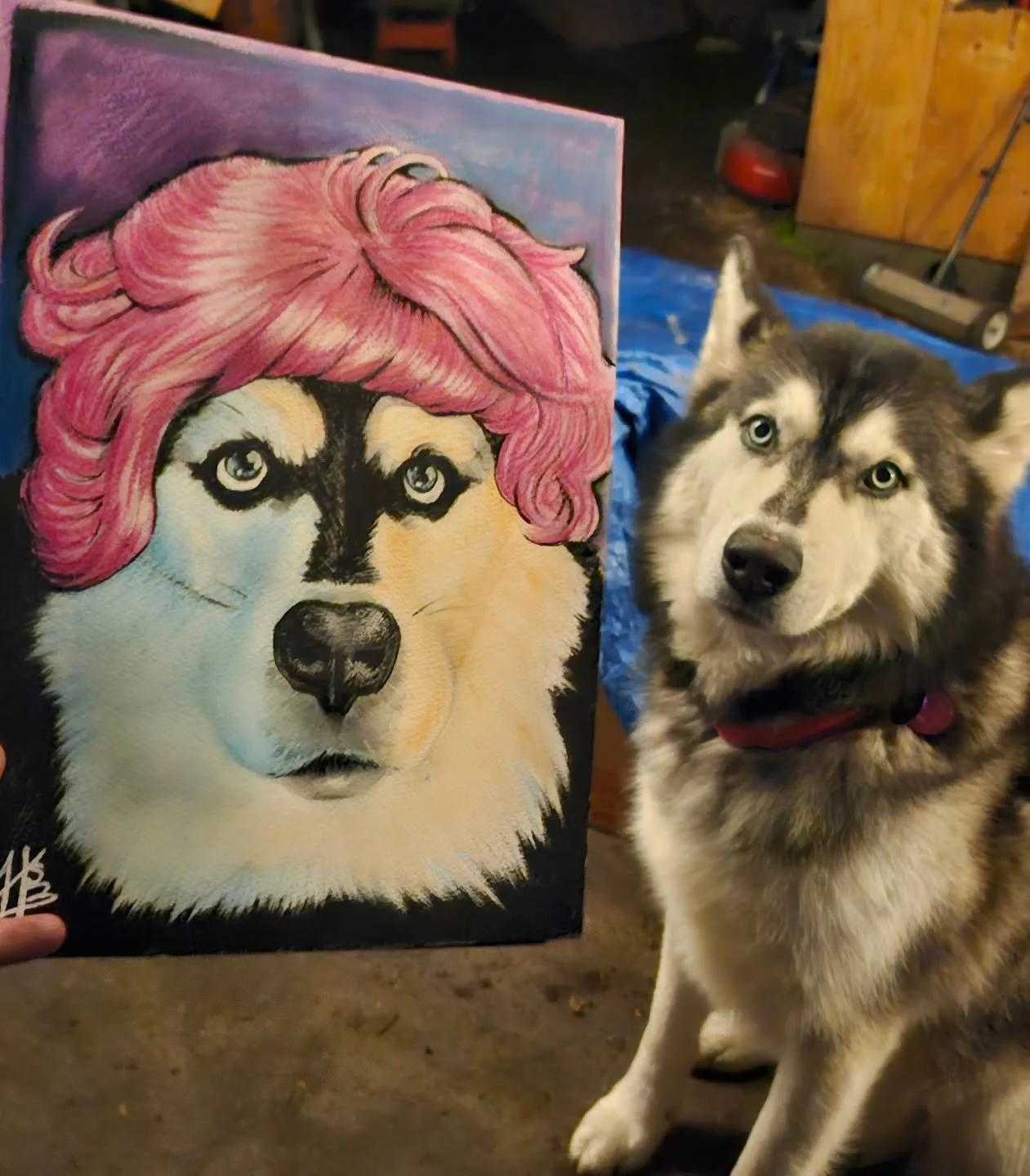 Moose is certainly post-worthy. He's a damn good boi.

Had a great time drawing this for my good friend Evan, the wig was added on request lol

If you're ever interested in having a pet portrait done please reach out at https://www.hsbartz.com/contac