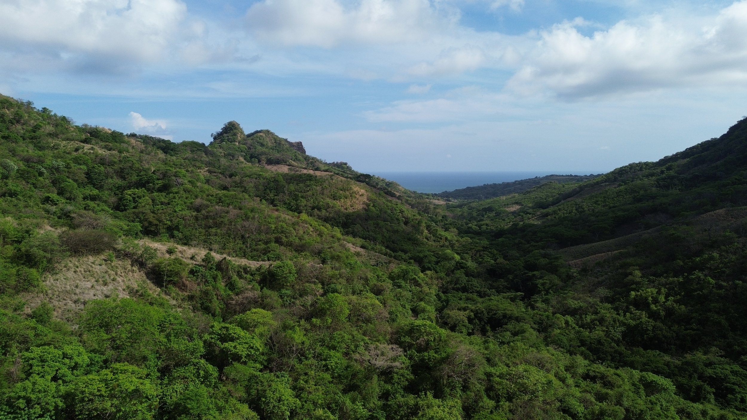 DJI_0113.JPG