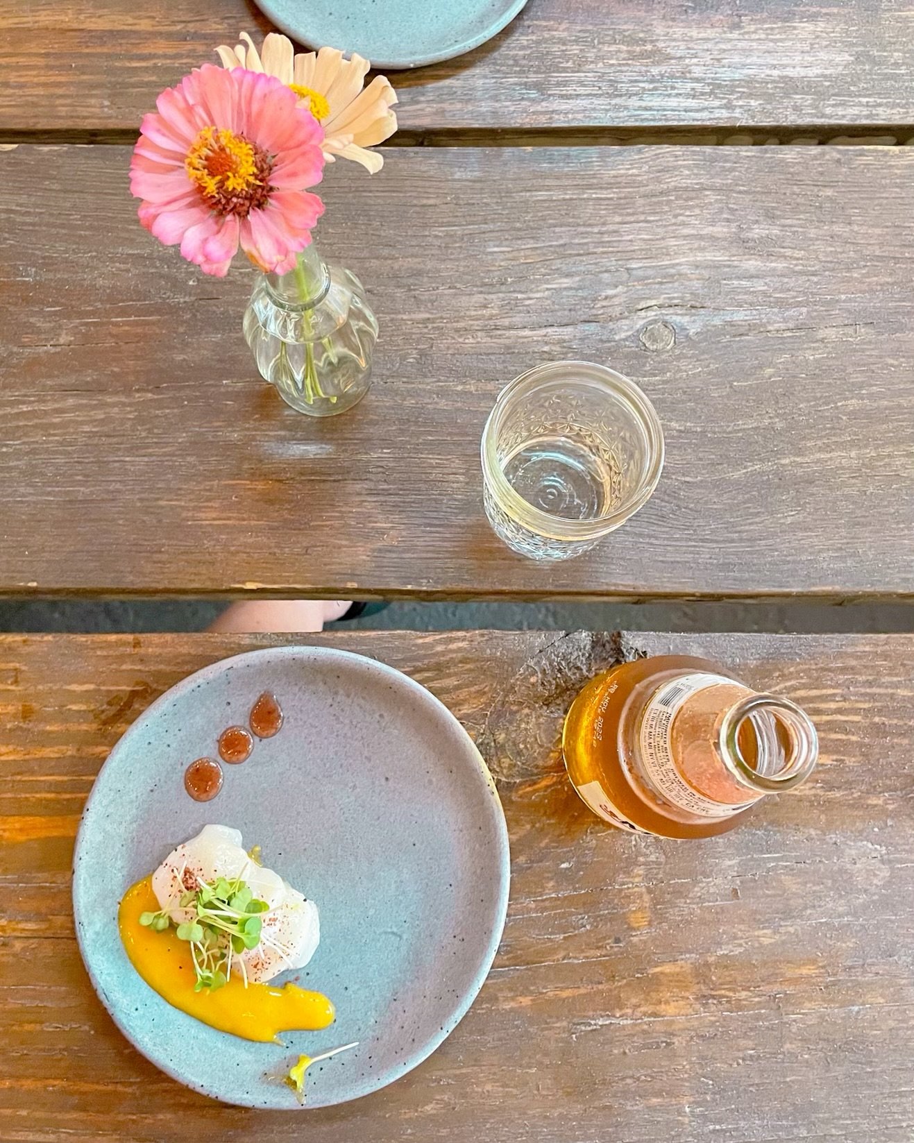scallop crudo. champagne mango coulis. rhubarb syrup. monmouth county new jersey caterer private dining chef near me