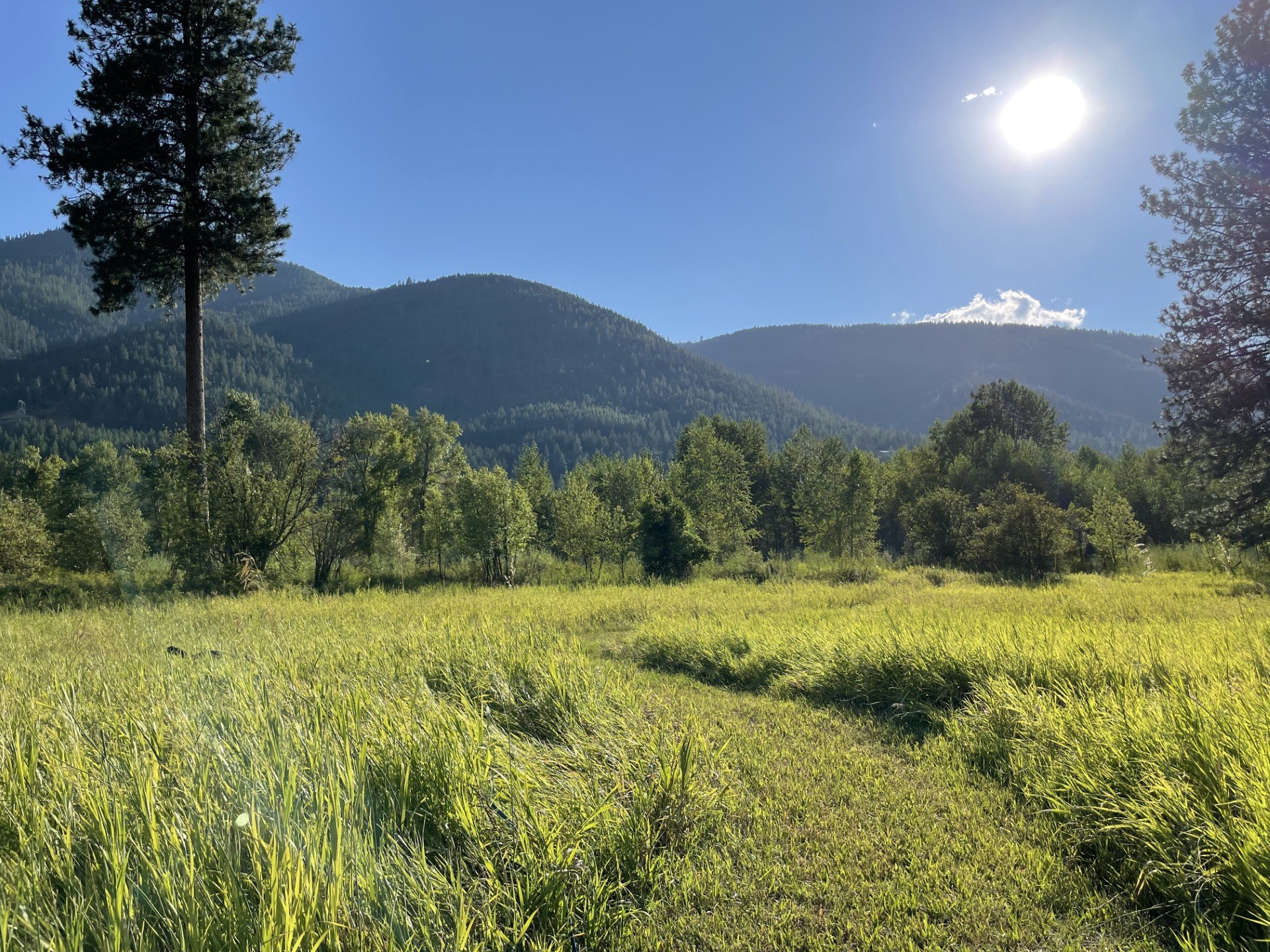 Turah property in summer scenery (1).jpg