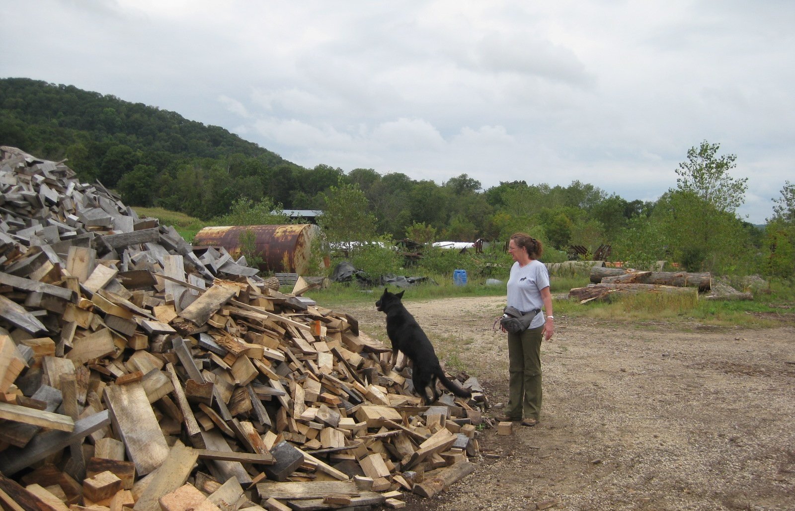 Minnesota_2012_emerald+ash+borer_wood+pile_Tia_Alice_Katy+Longen+%282.jpg