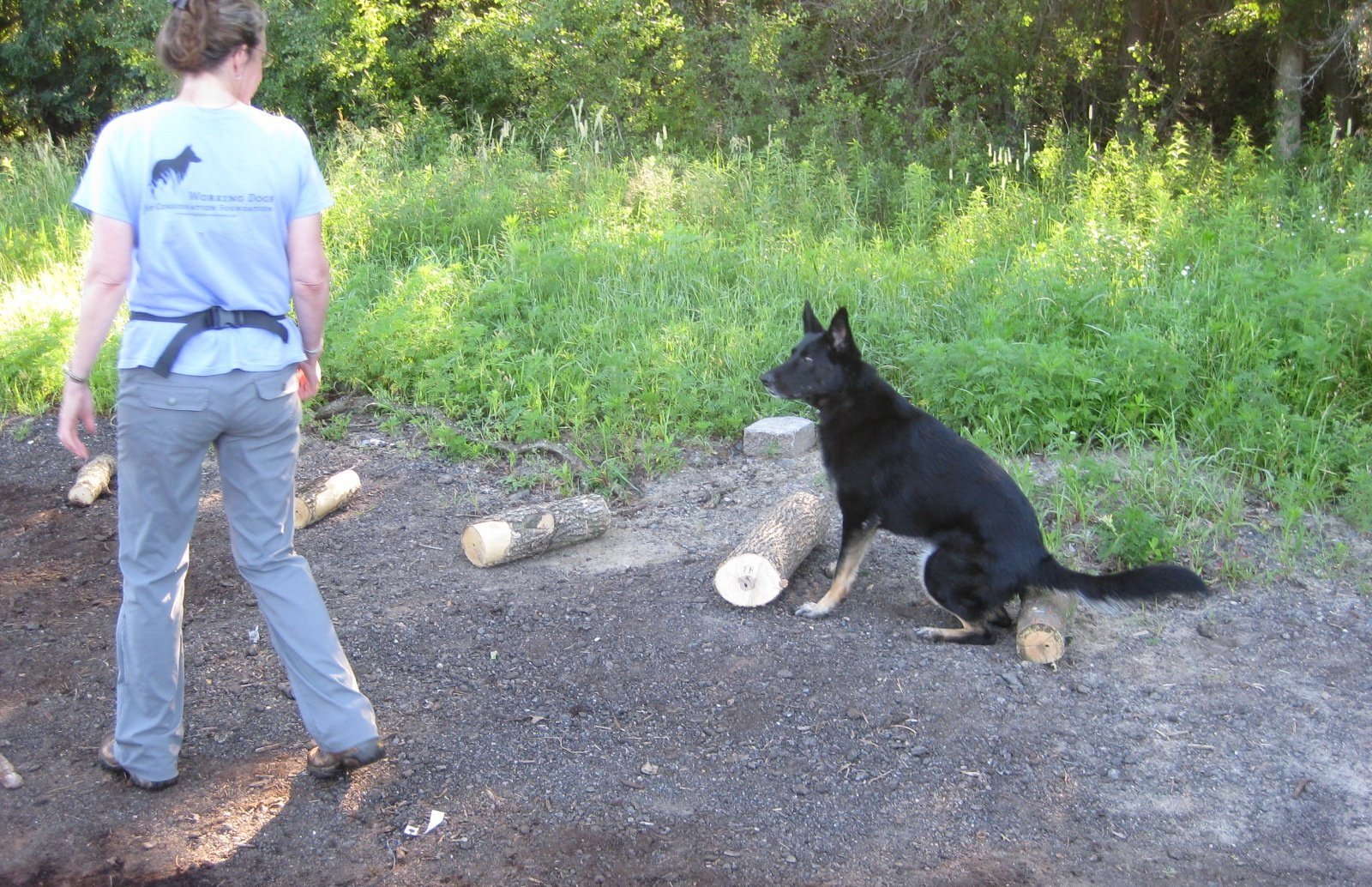 Minnesota_2012_emerald+ash+borer_training_wood_Alice_Tia_Katy+Longen+%284%29.jpg