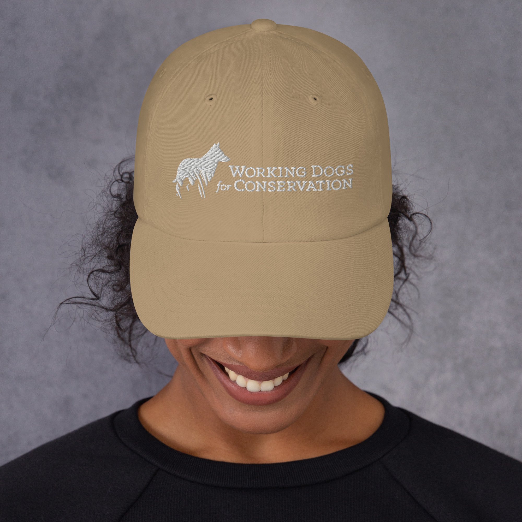classic-dad-hat-khaki-front-683489fc1cb75.jpg