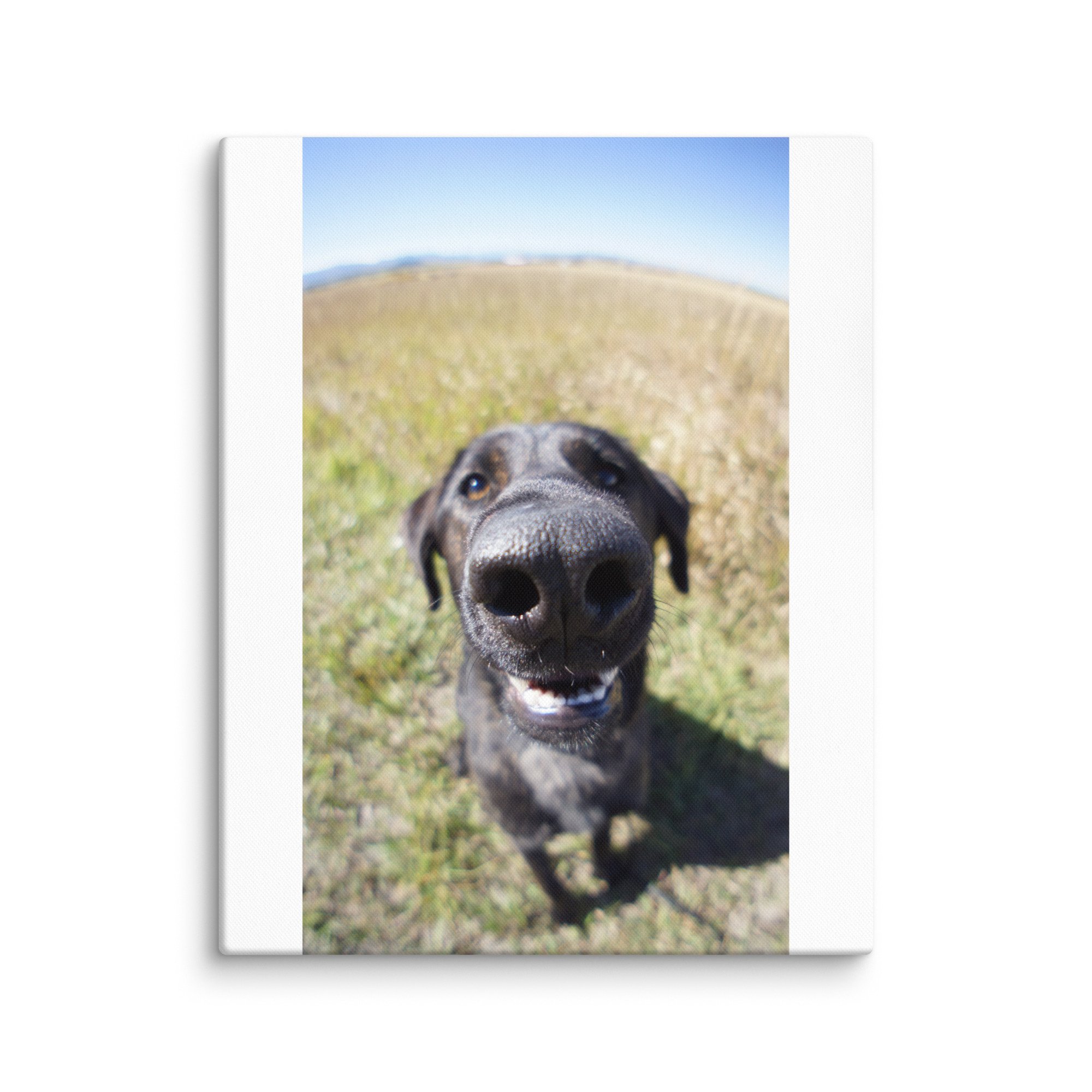 canvas-(in)-16x20-wall-68348a239ba87.jpg