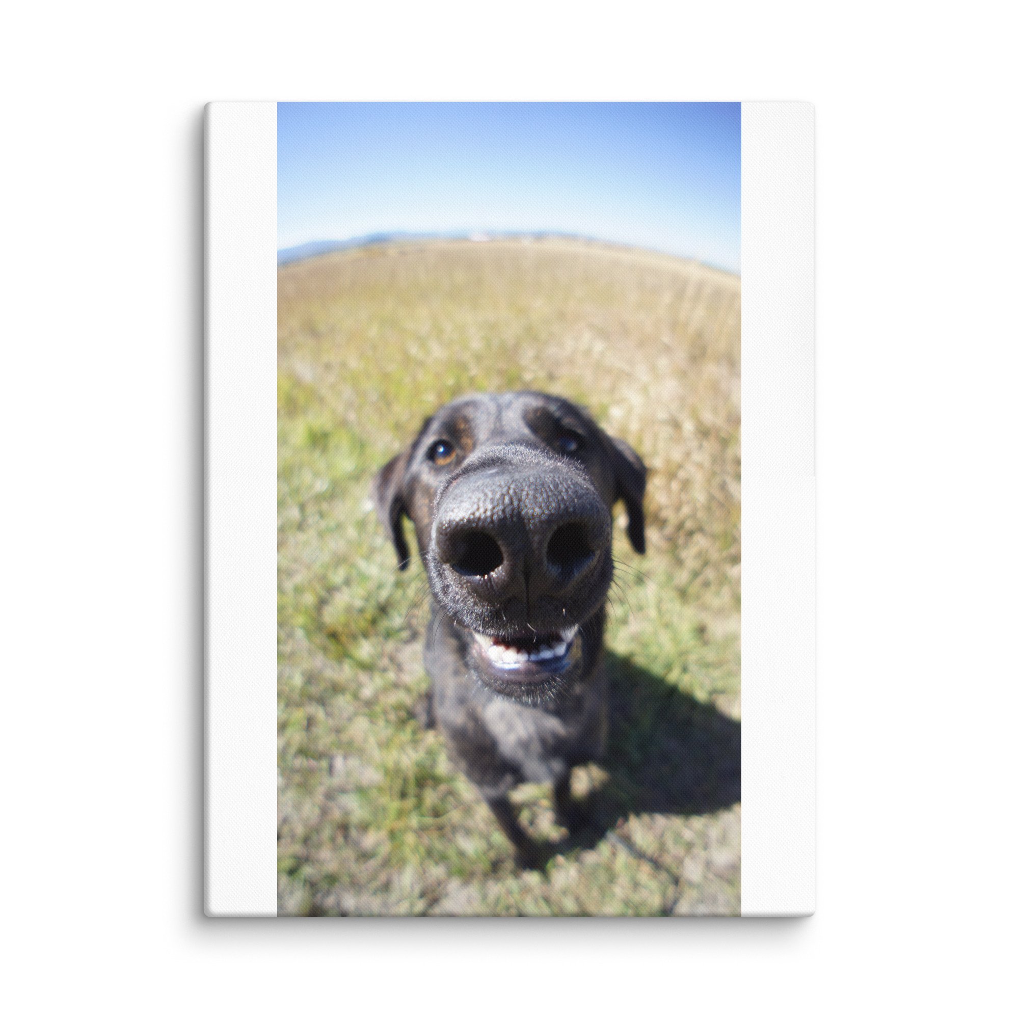 canvas-(in)-18x24-wall-68348a239bb24.jpg