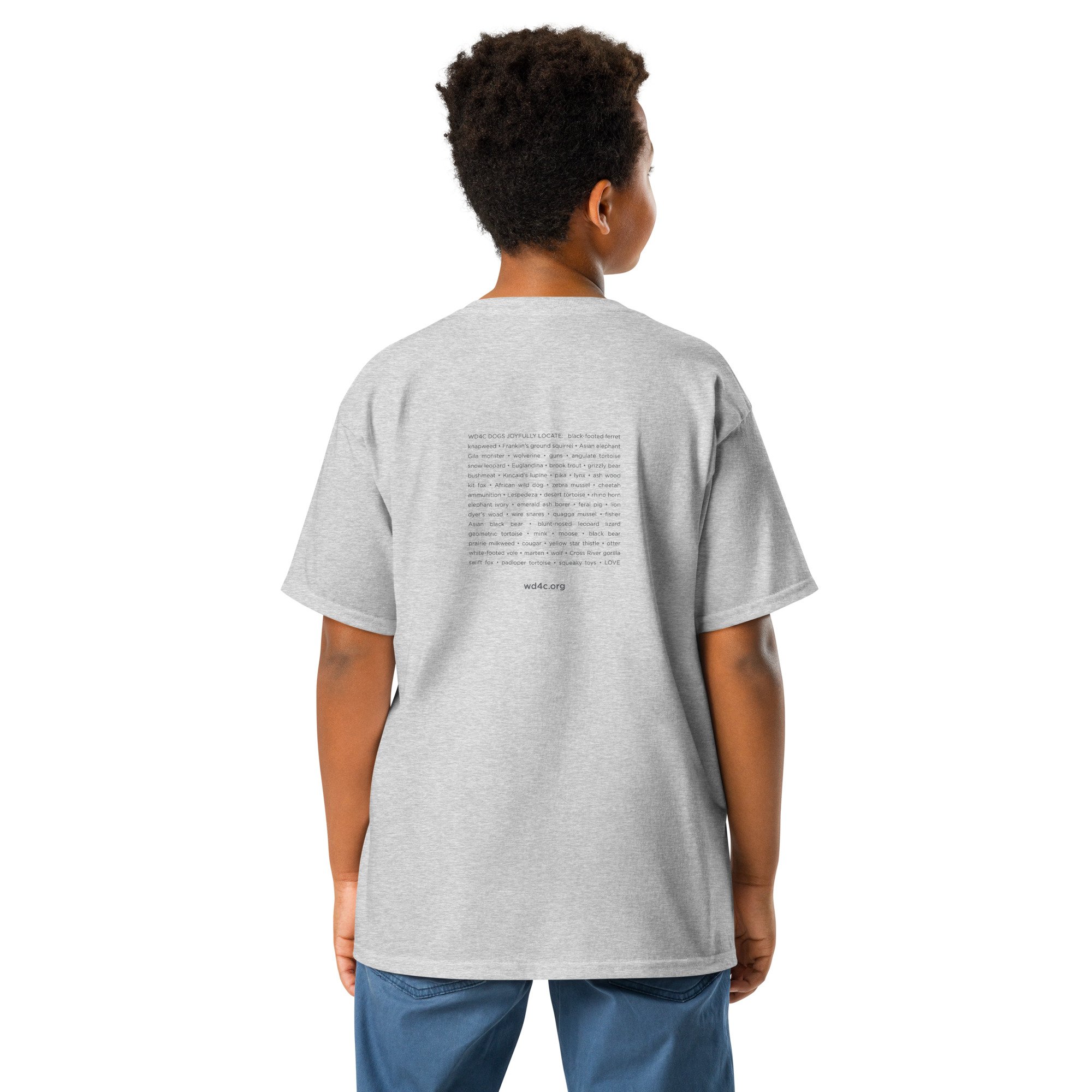 youth-classic-tee-sport-grey-back-68348bf4aa7ba.jpg
