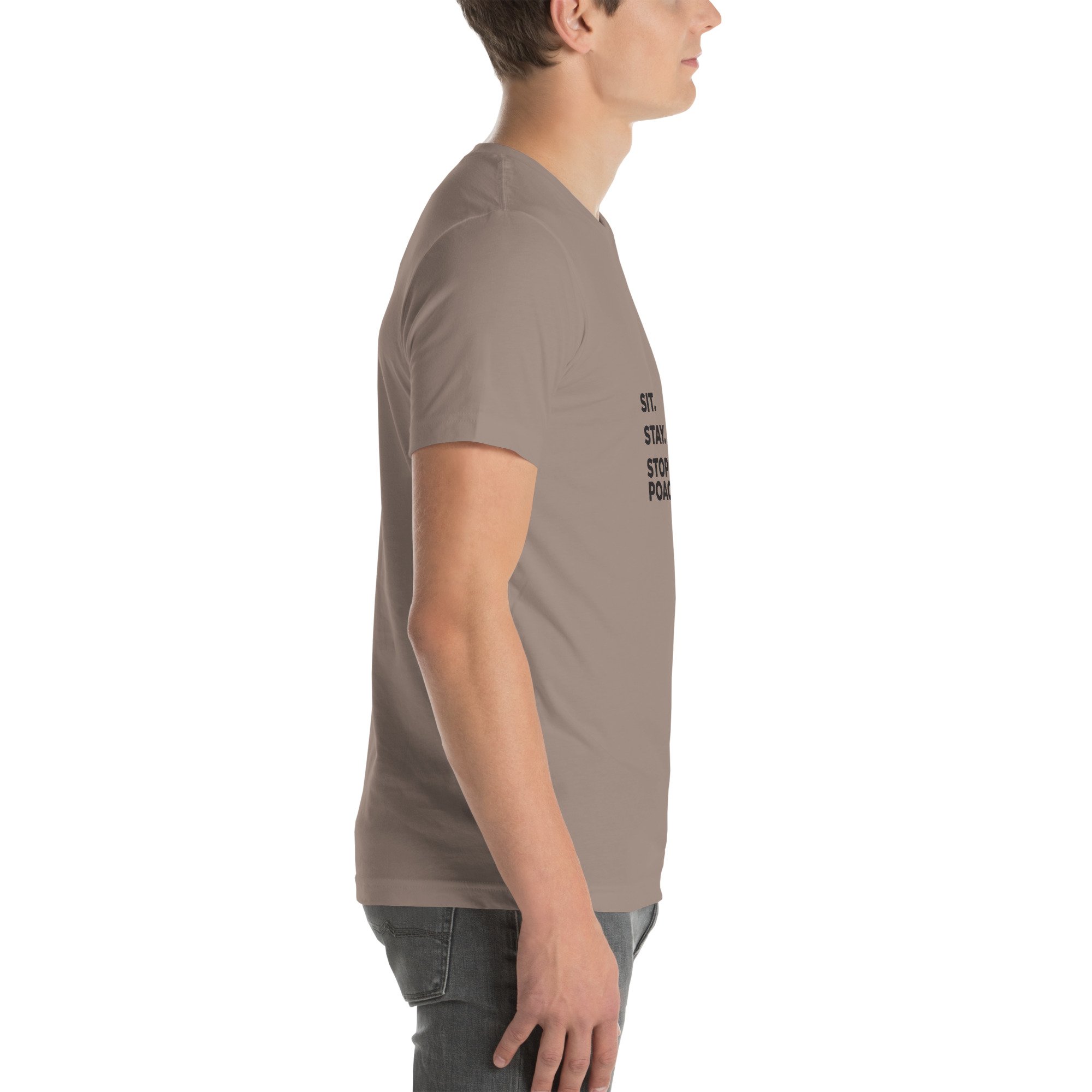 unisex-staple-t-shirt-pebble-right-6835f28b6bafa.jpg