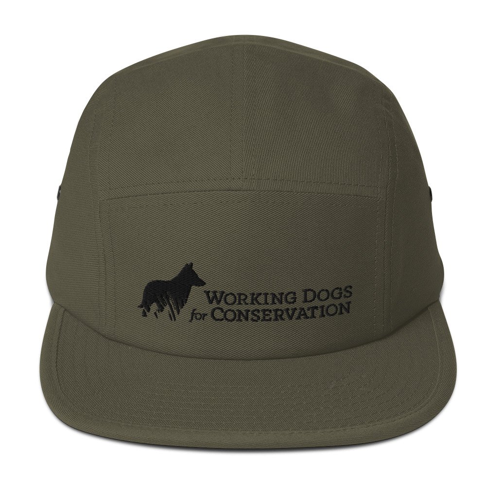 5-panel-cap-olive-front-6838c3c2c689e.jpg