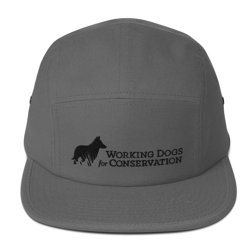 5-panel-cap-grey-front-6838c3c2c6bf6.jpg