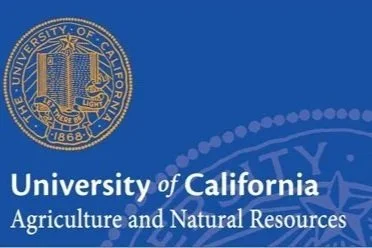 Dogs with jobs: Pups go on pest patrol as rodenticides phase out