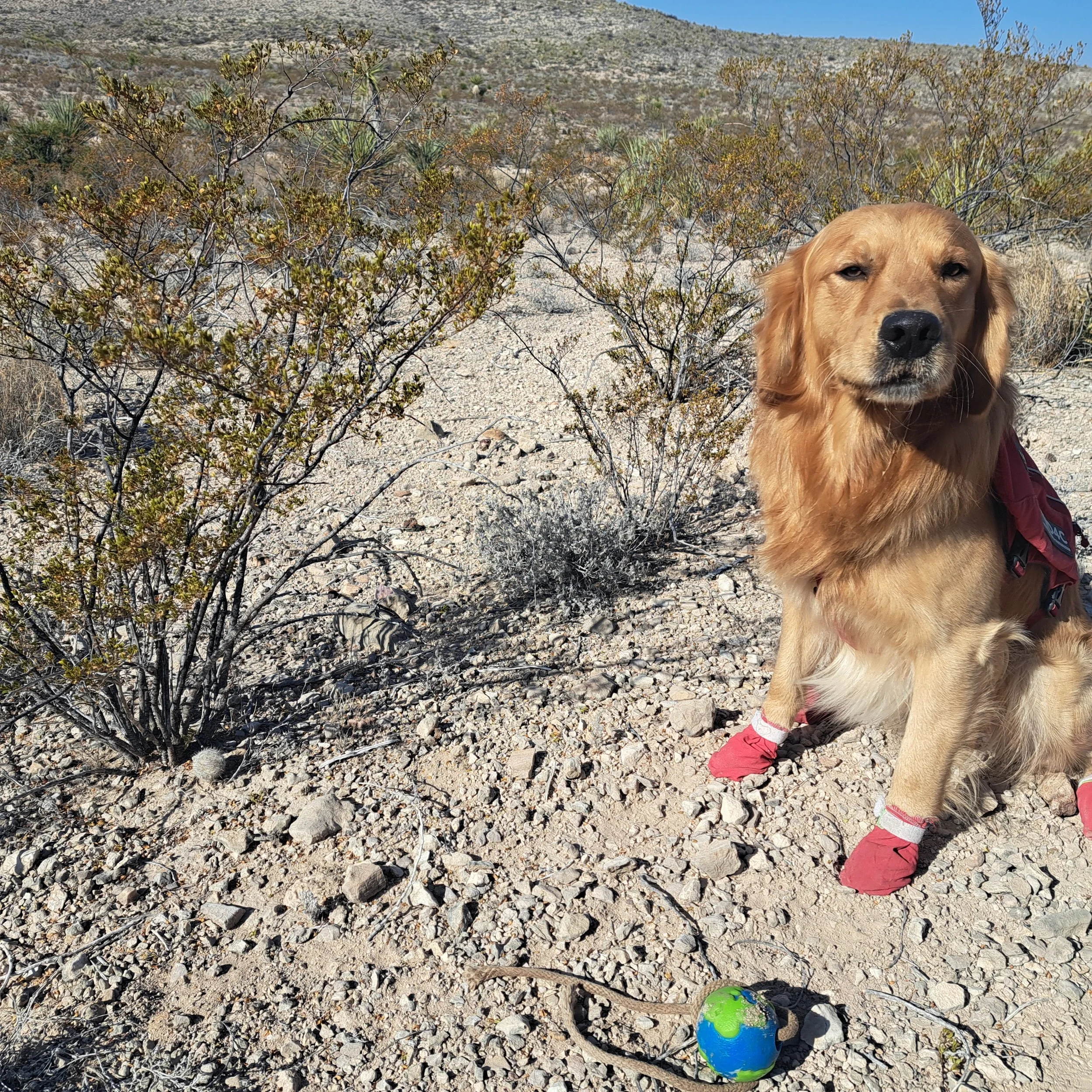 Arly unscouted find.jpg