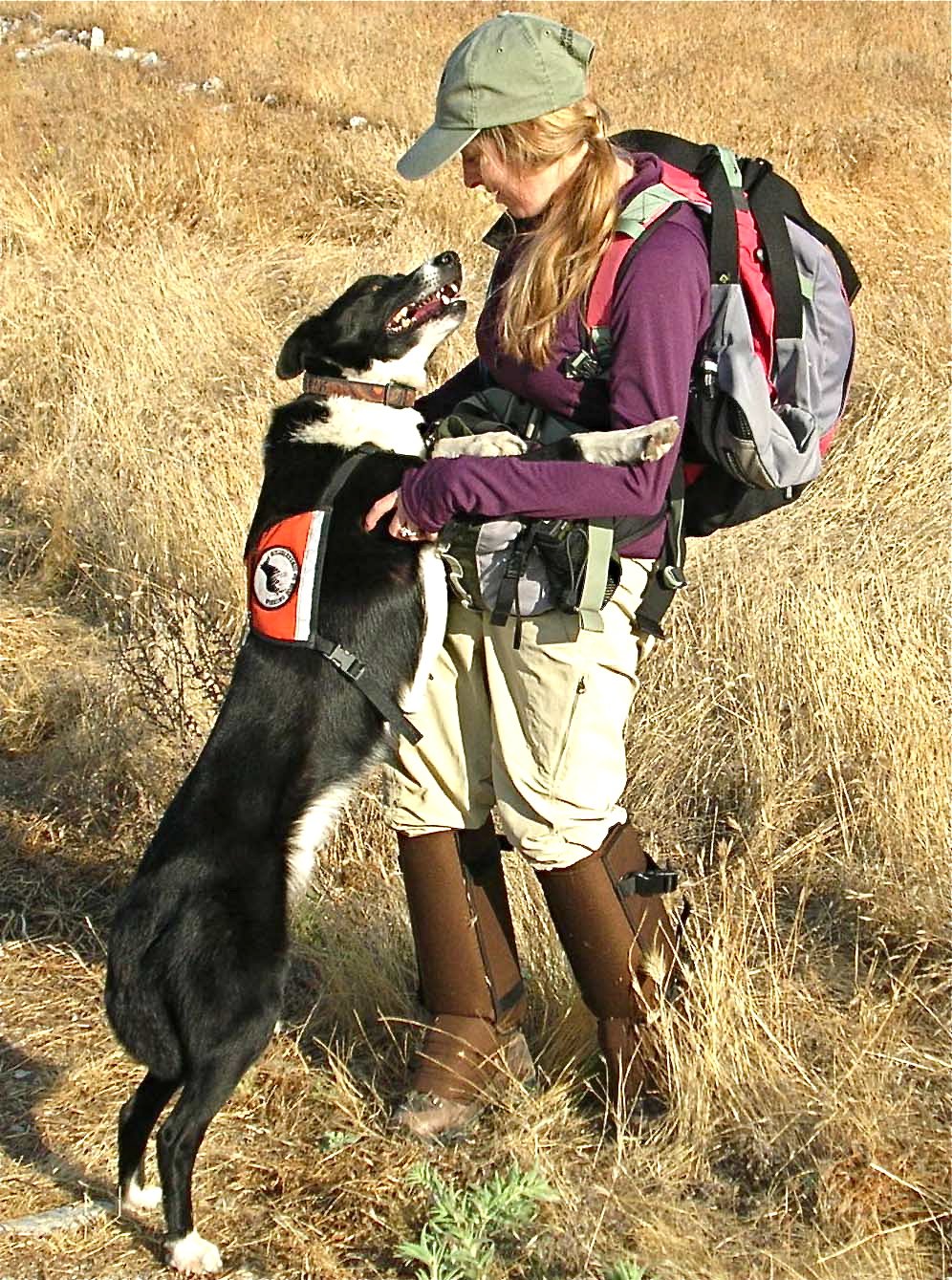 Orbee_Deb_SanJoaquinKitFox_CA.jpg