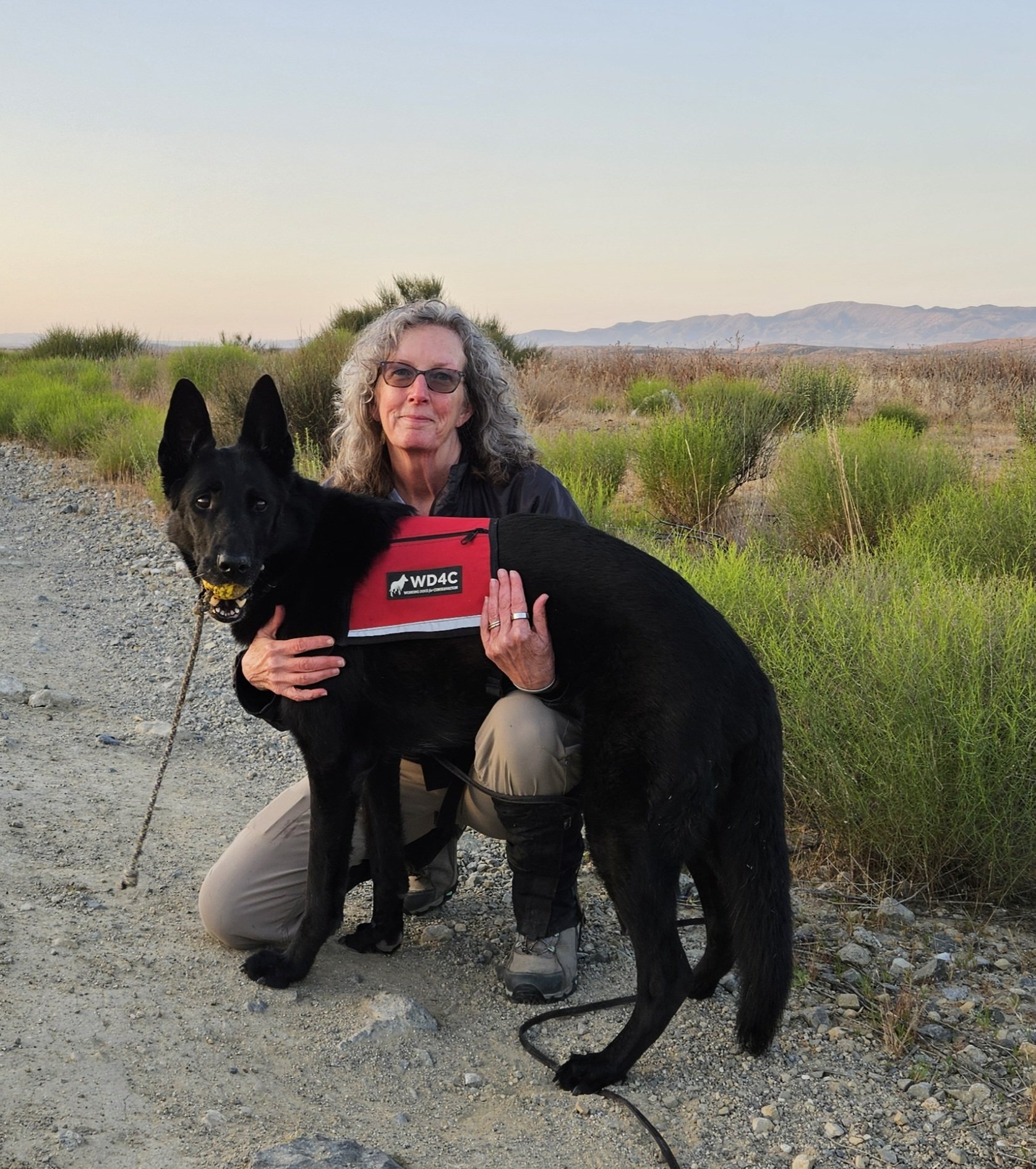 Alice and dog Rue 2024 with logo.jpg