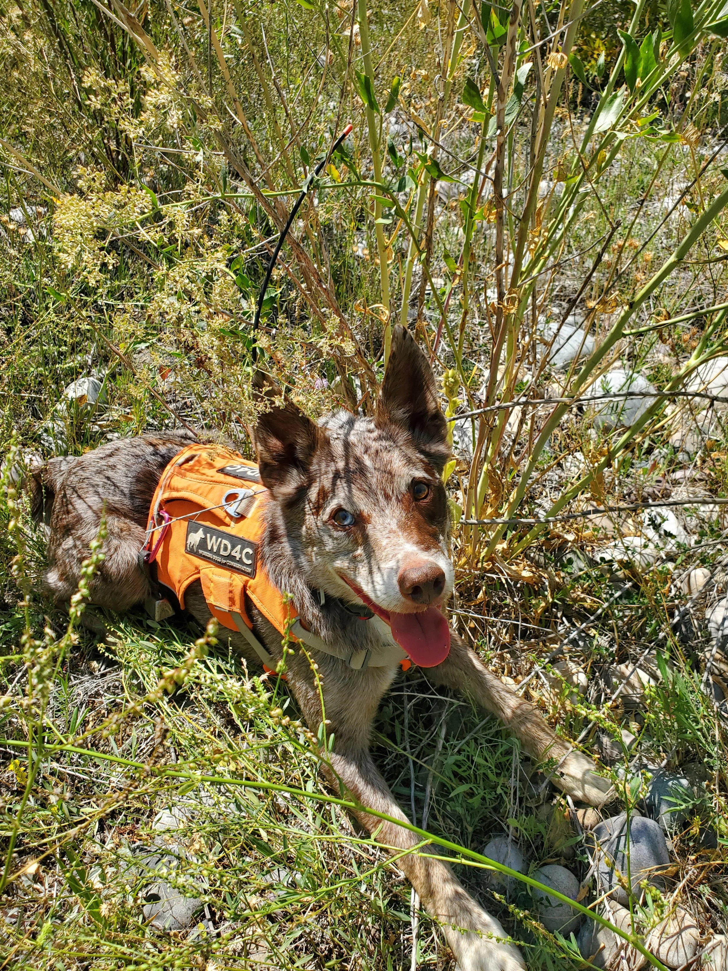 20250822_121952 (3).jpg