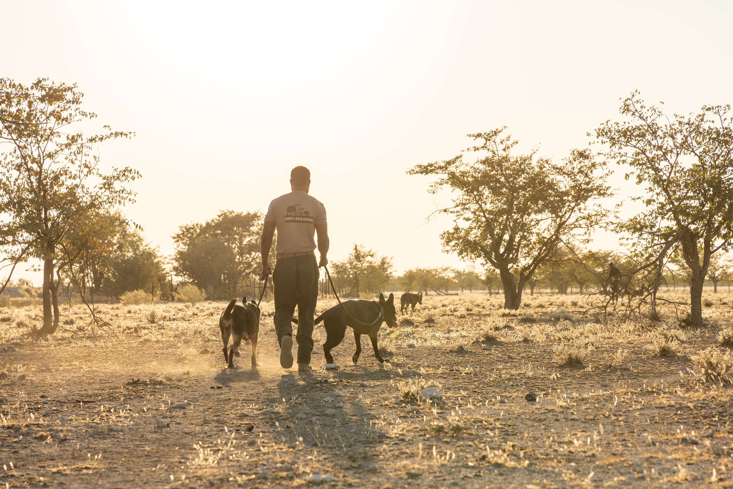WD4CNAM_June2024_Etosha-39.jpg
