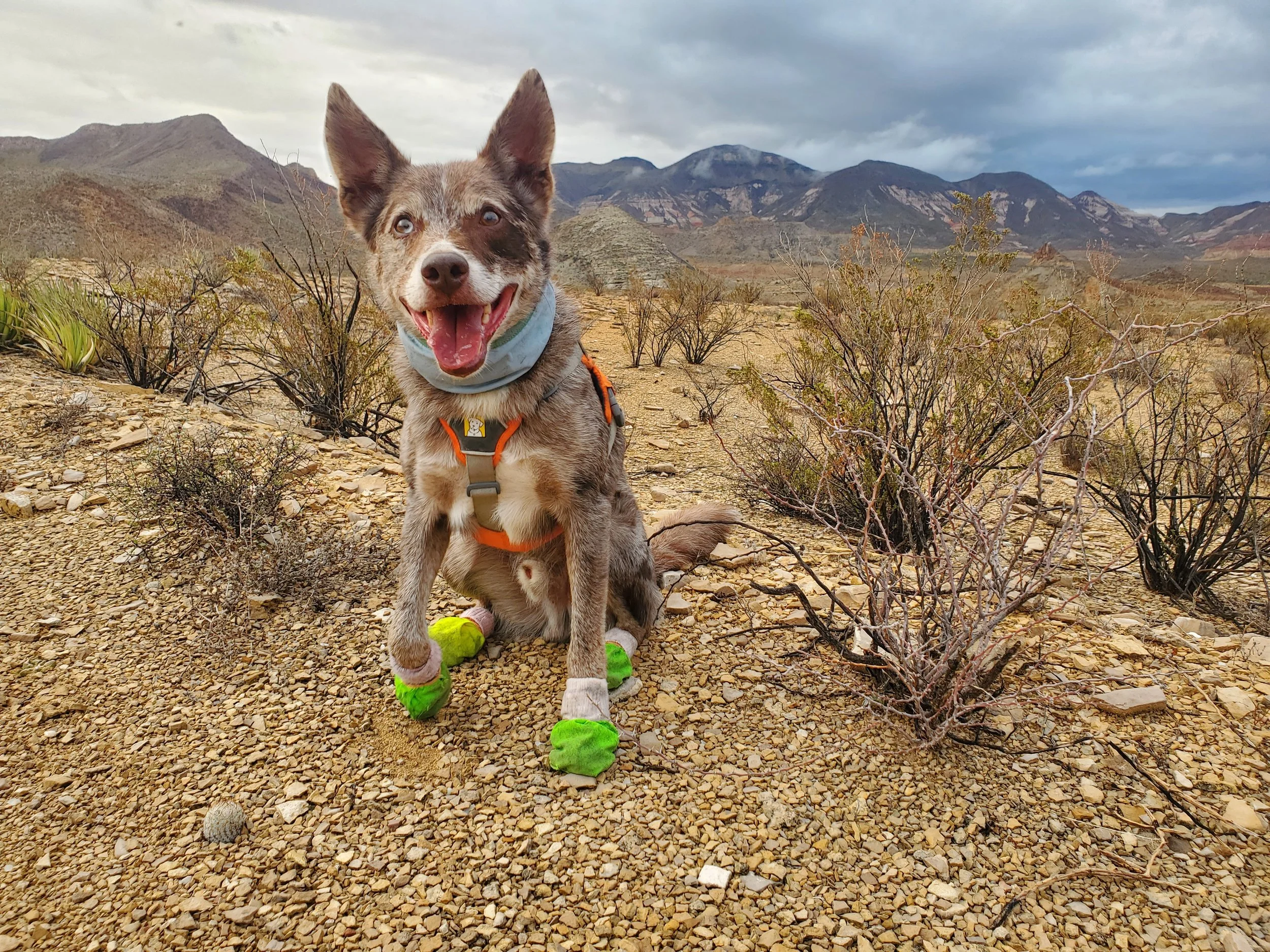 20250702_075412 (1).jpg