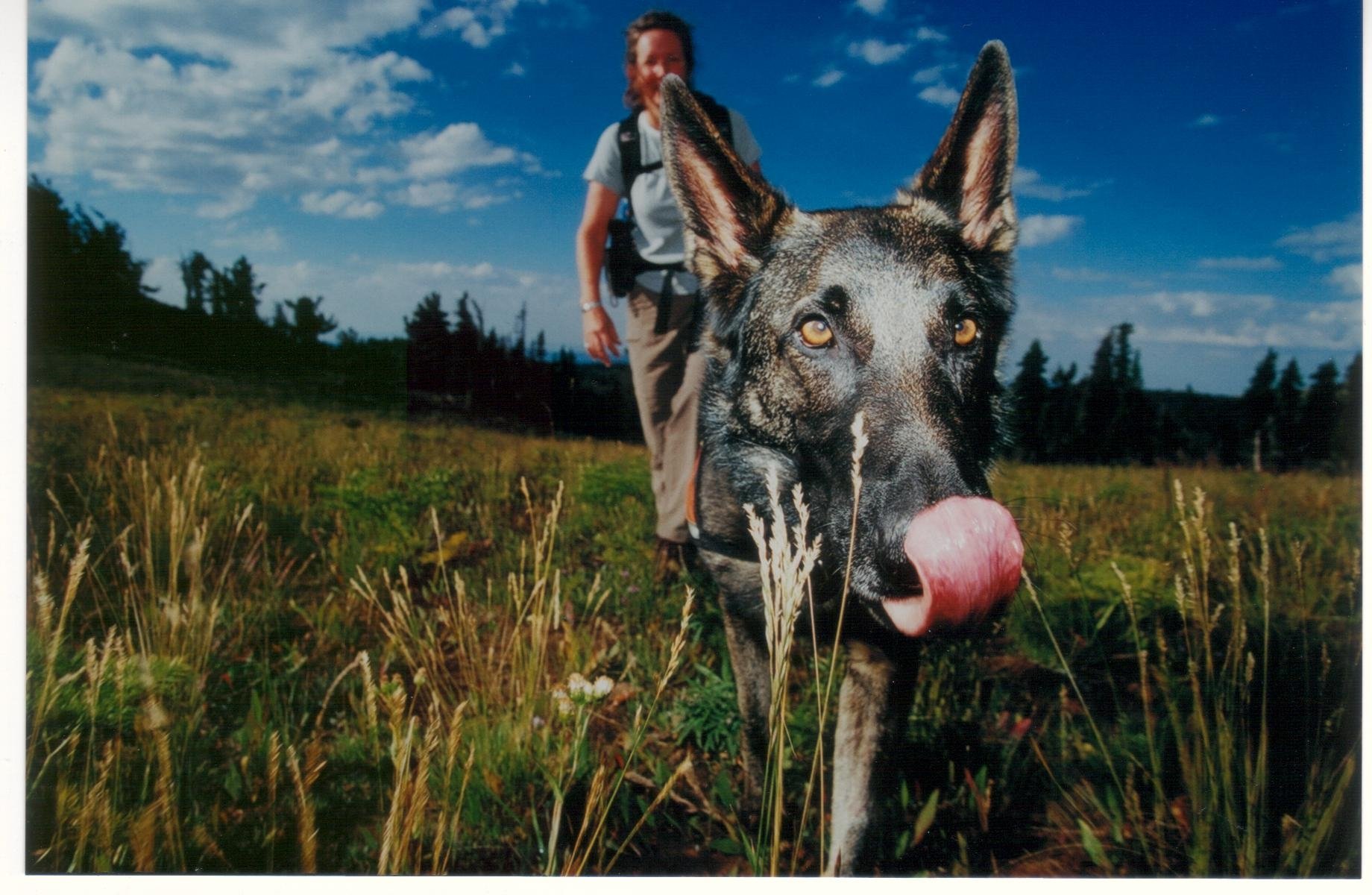 Alice_Tsavo_Centennials_2005_credit Chad Harder (2).jpg