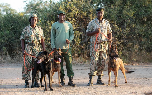 Zambia2.jpg
