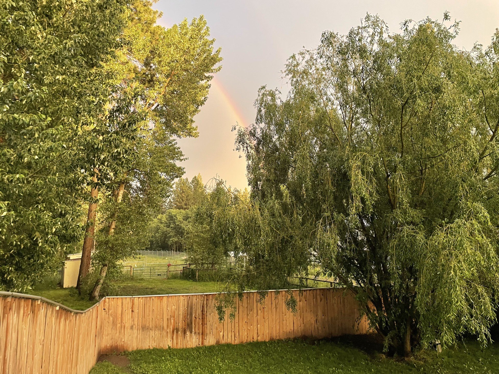 Rainbow pic of back of house and fences (1).jpg
