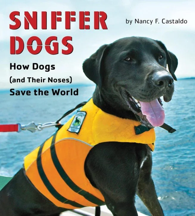 Sniffer Dogs