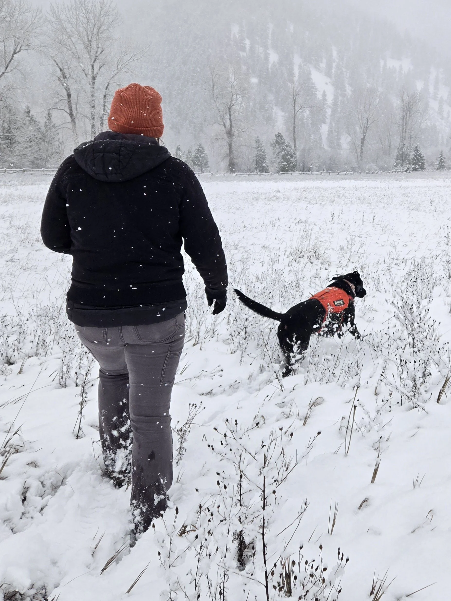 Michele Lovara & canine Kevin in MT 2025.jpg
