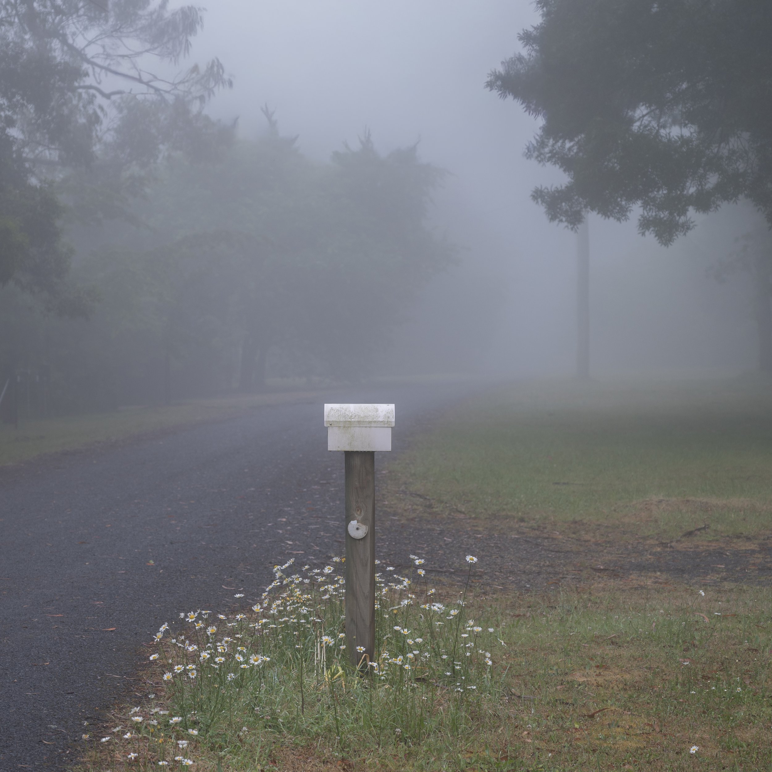 Fog Letterbox.jpg