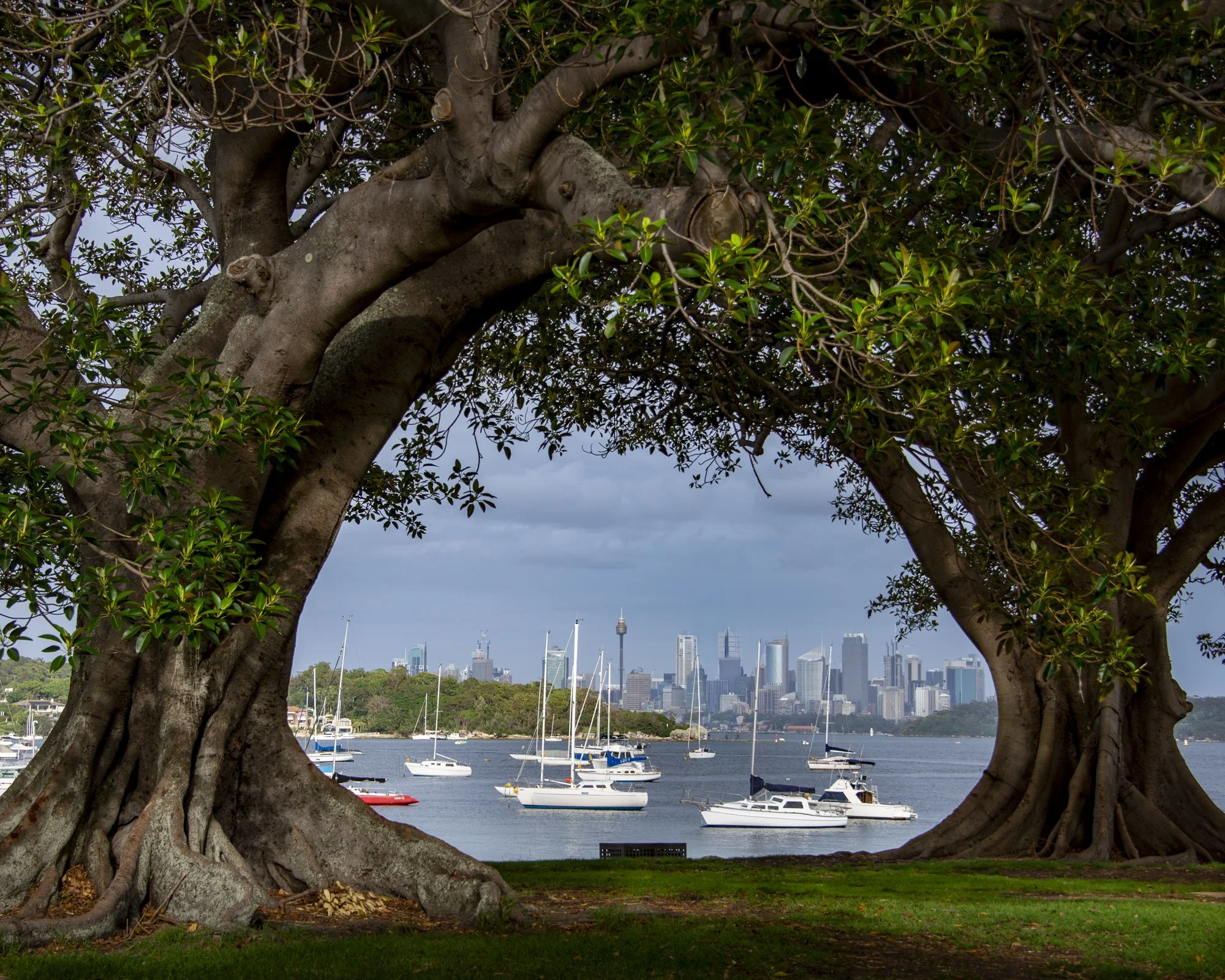 Watsons Bay.jpg