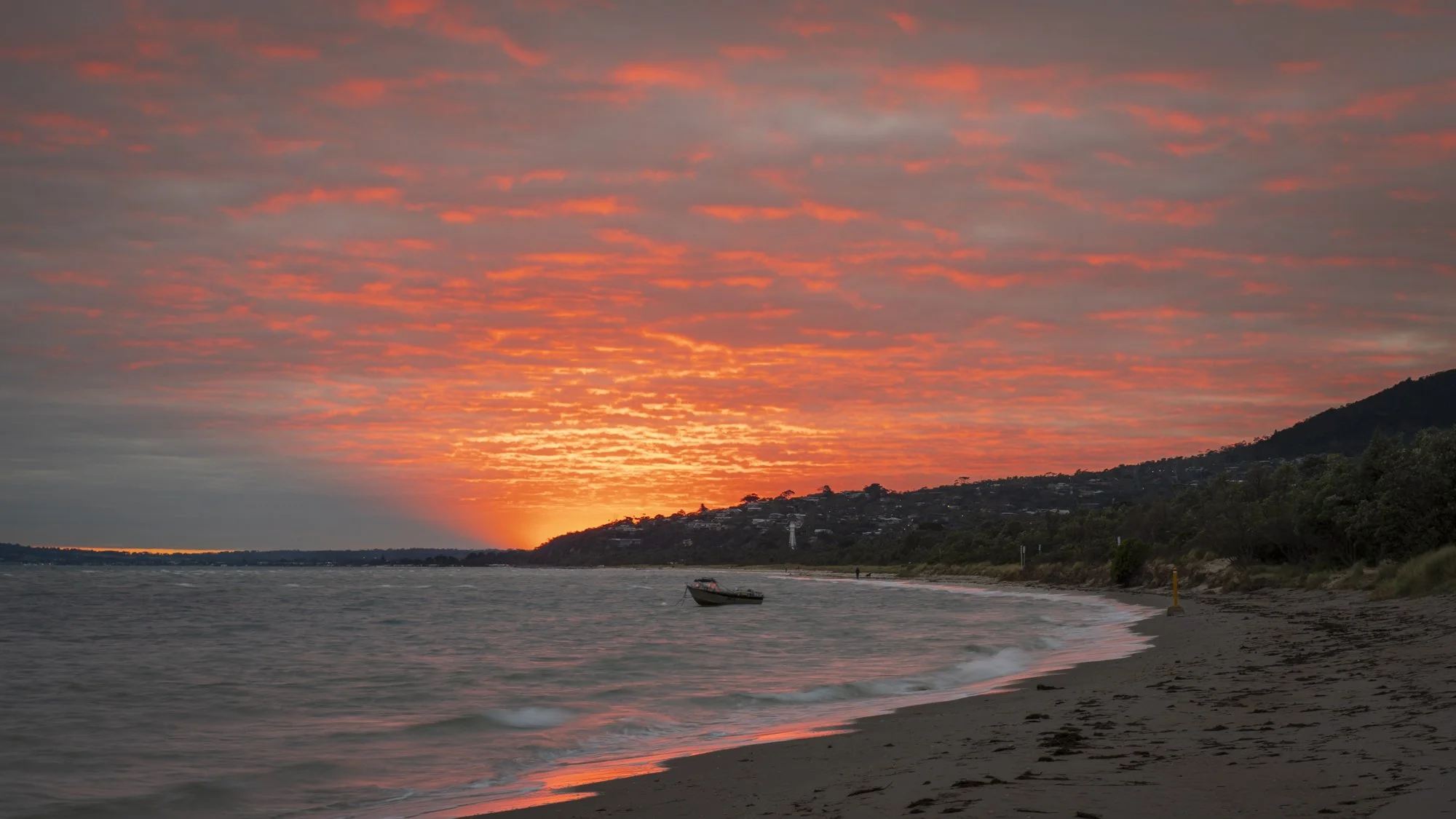 Rosebud sunrise.jpg
