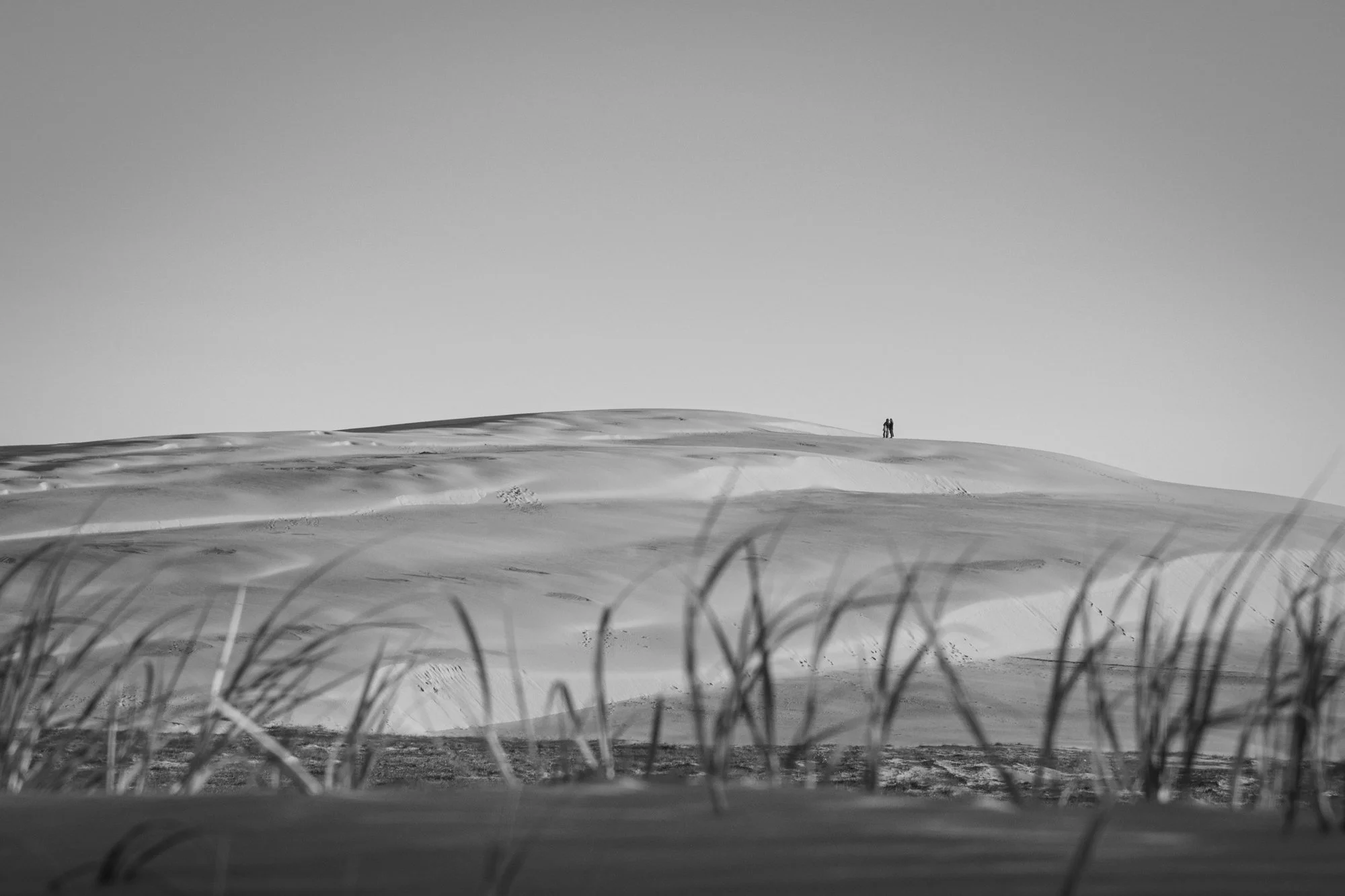 Sand dunes.jpg