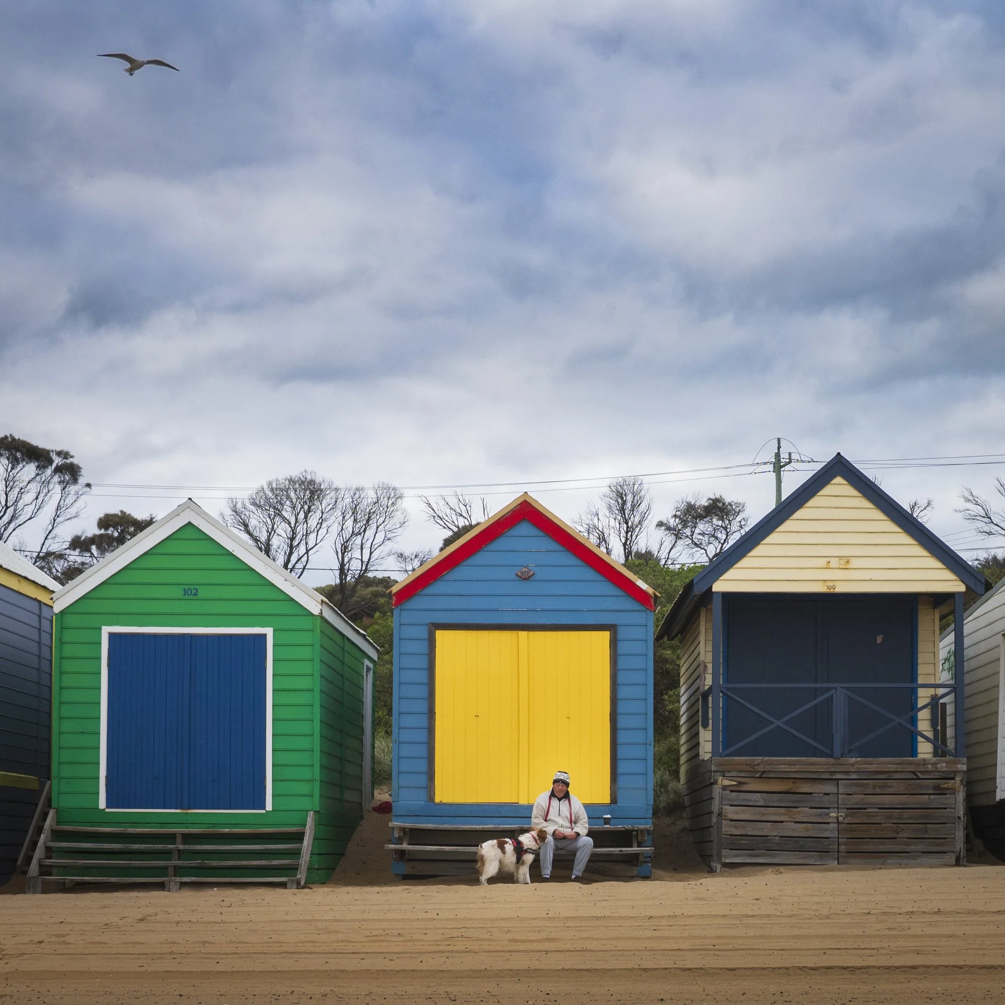 beach huts man & dog.jpg