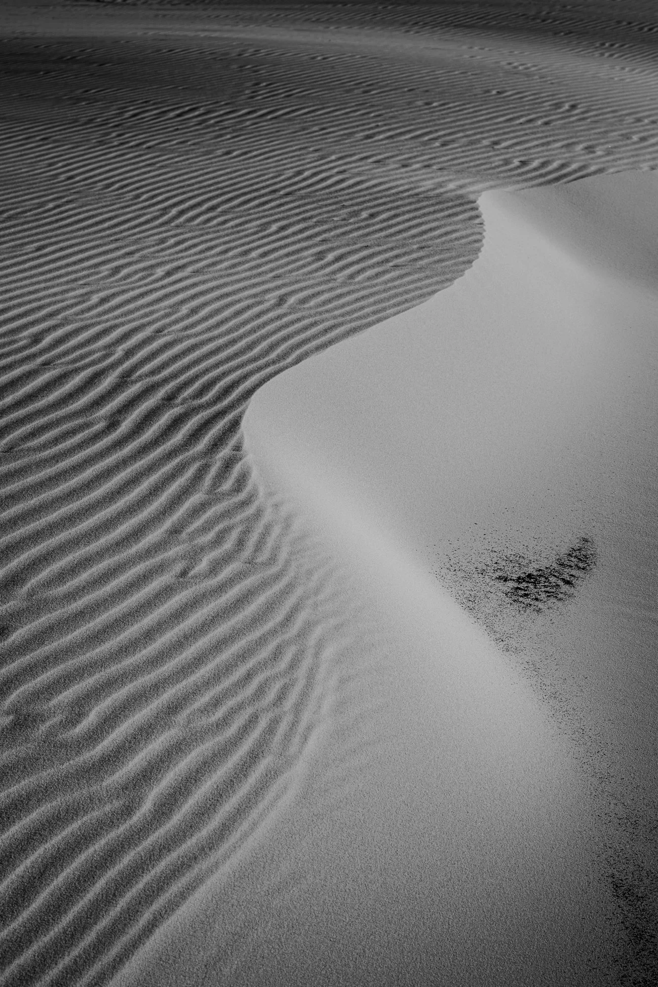 Sand dunes stockton.jpg