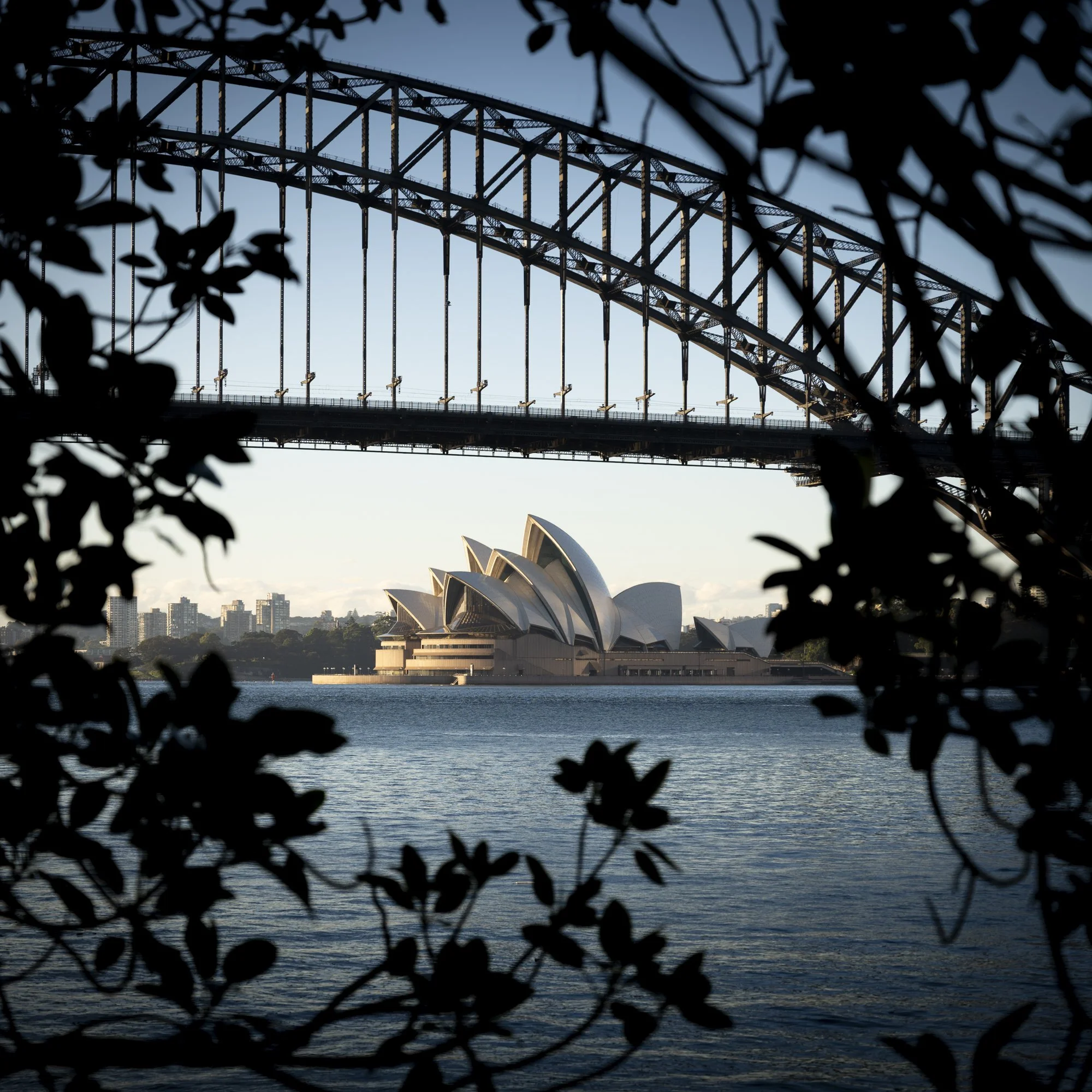Opera House framed.jpg