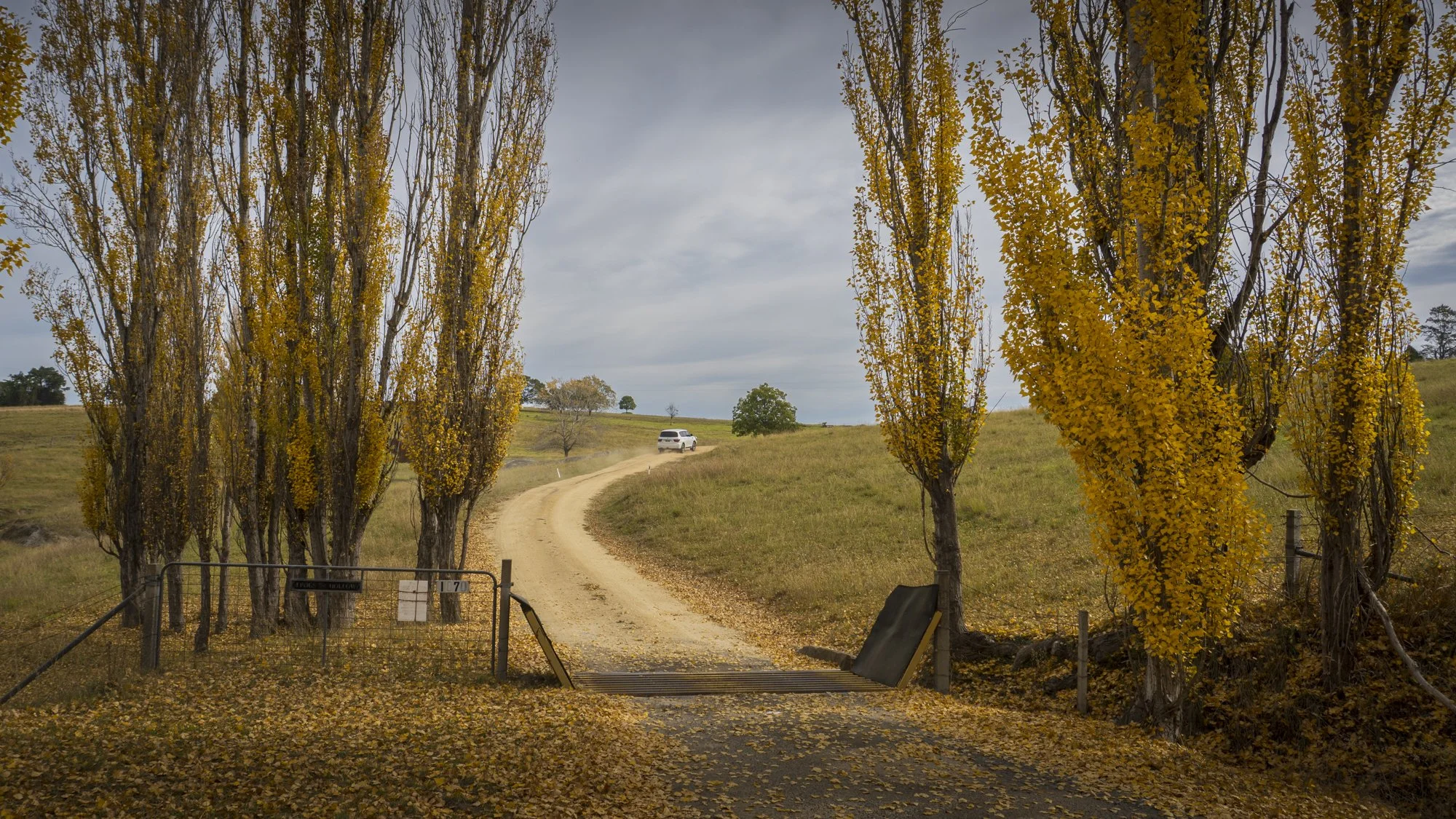 Road to Bega.jpg
