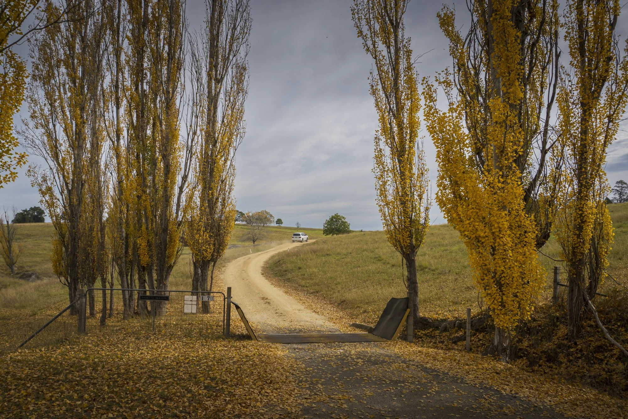 Country Road.jpg