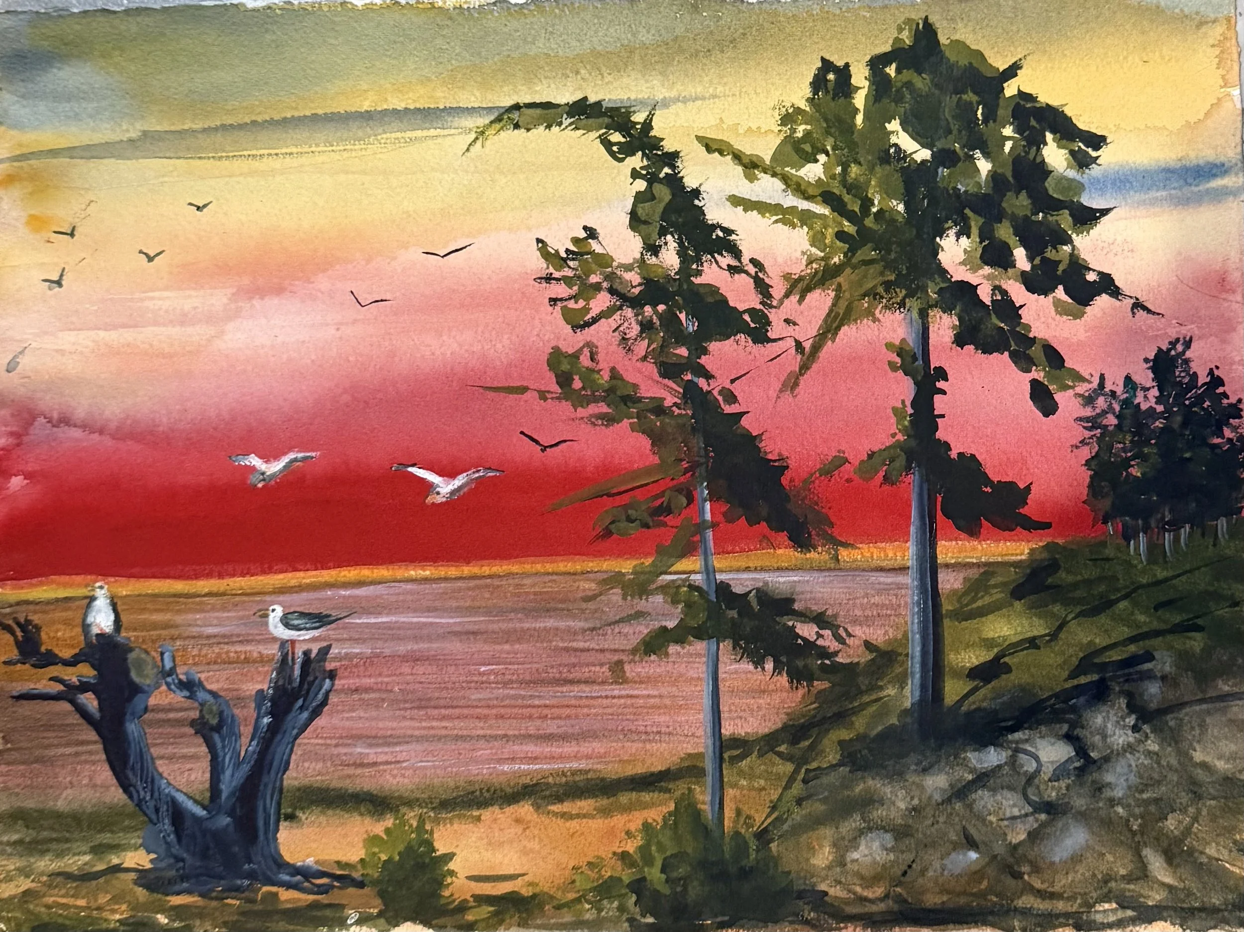 Saxe Point at Sunset