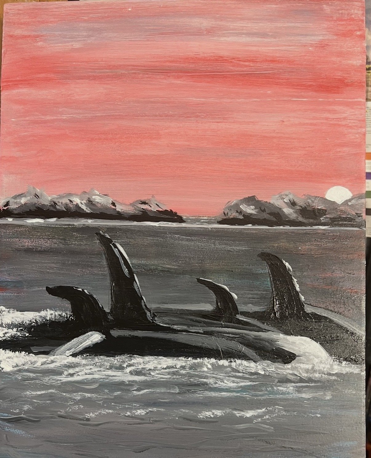 L pod,  BC Killer whales