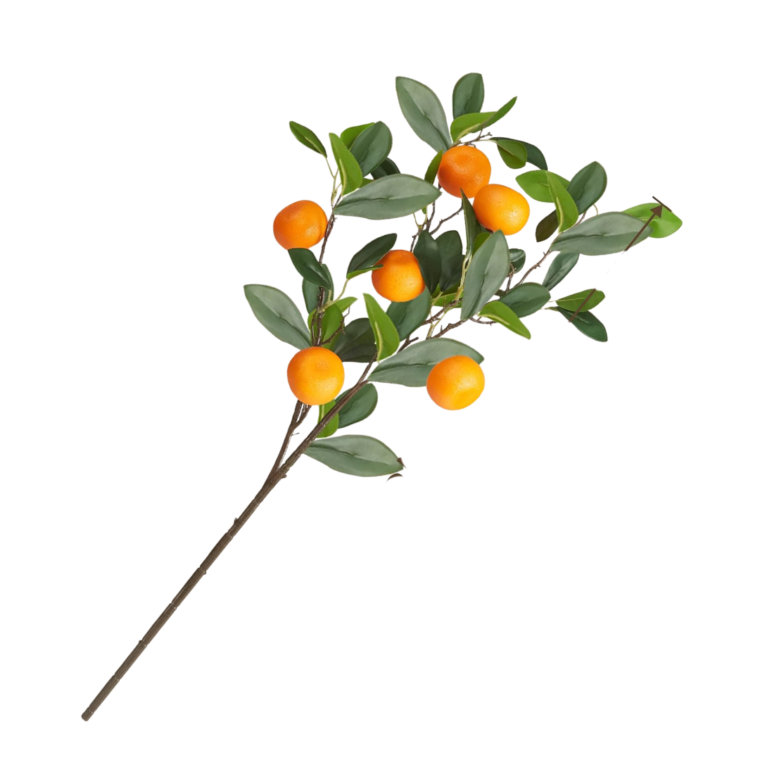 Untitled design-4.png