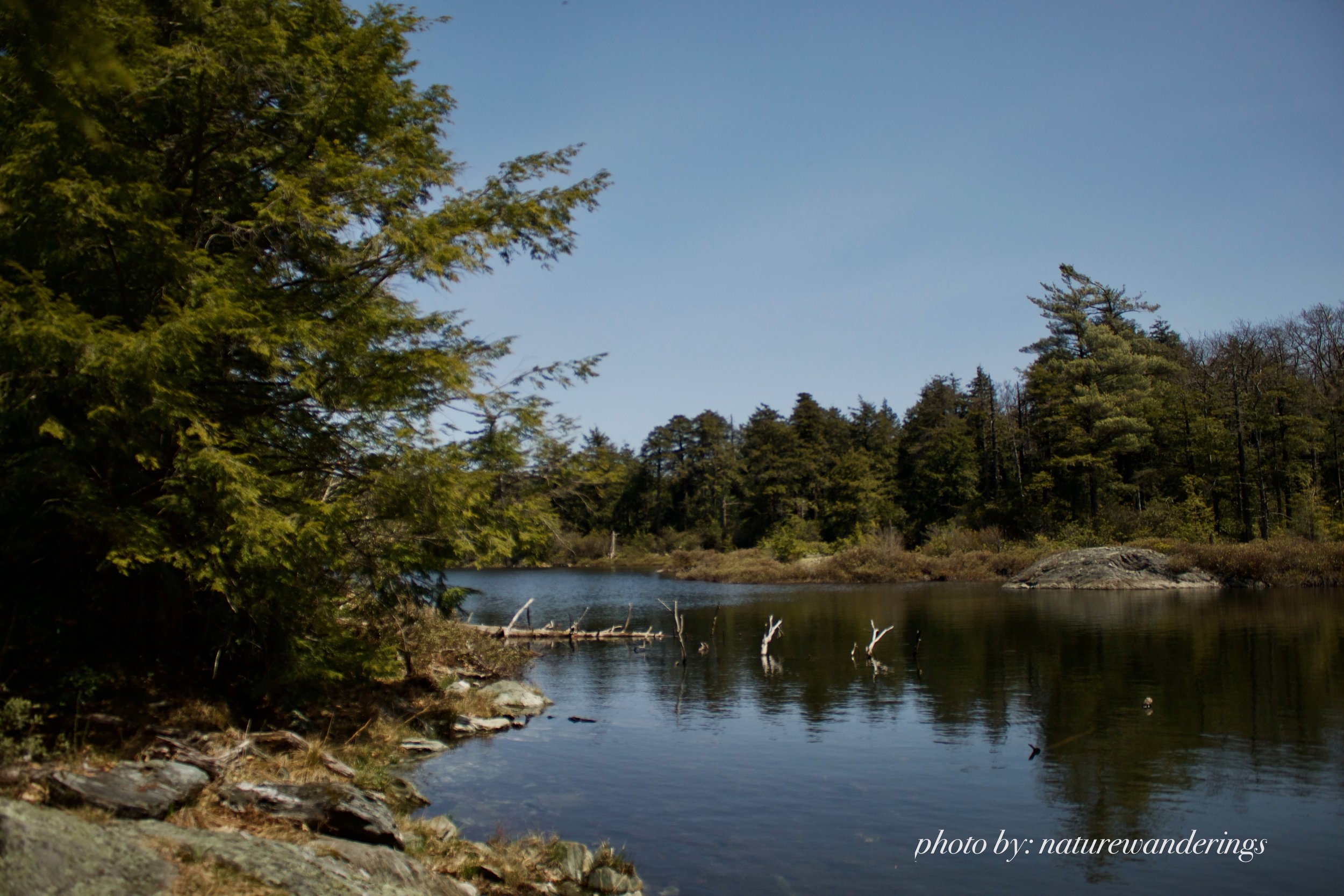 Beautiful Berkshires!