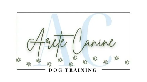 Arete Canine