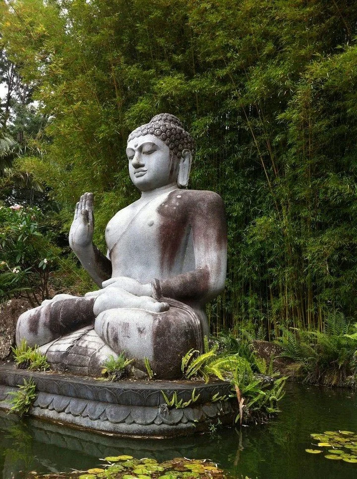 The bustling summer season has transitioned to cooler Autumn nights, and with that comes a time for self-reflection.

I find that for many of my clients they spend less time thinking about their symptoms so they have more space to think about the big
